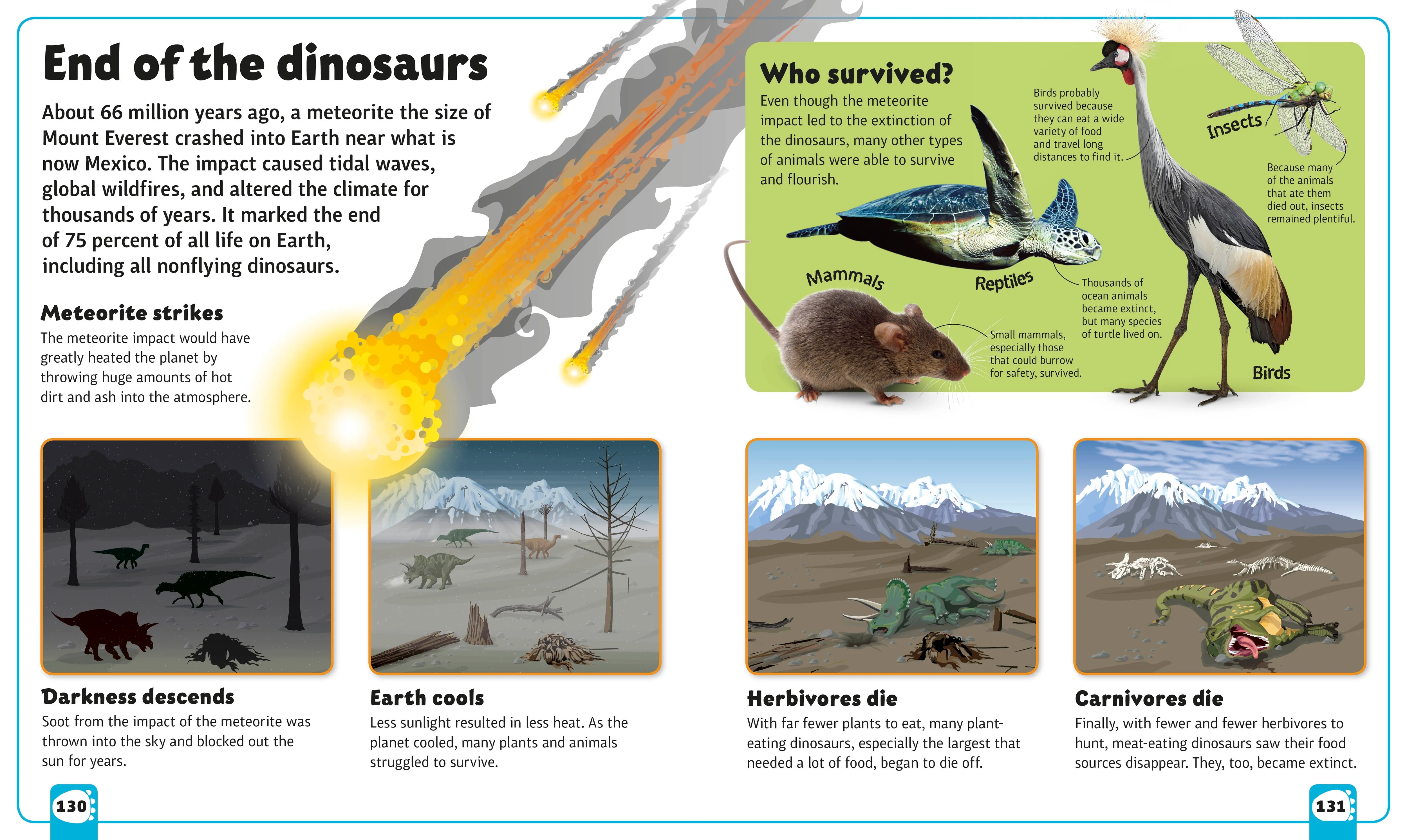 Dinosaur A to Z - Image 5