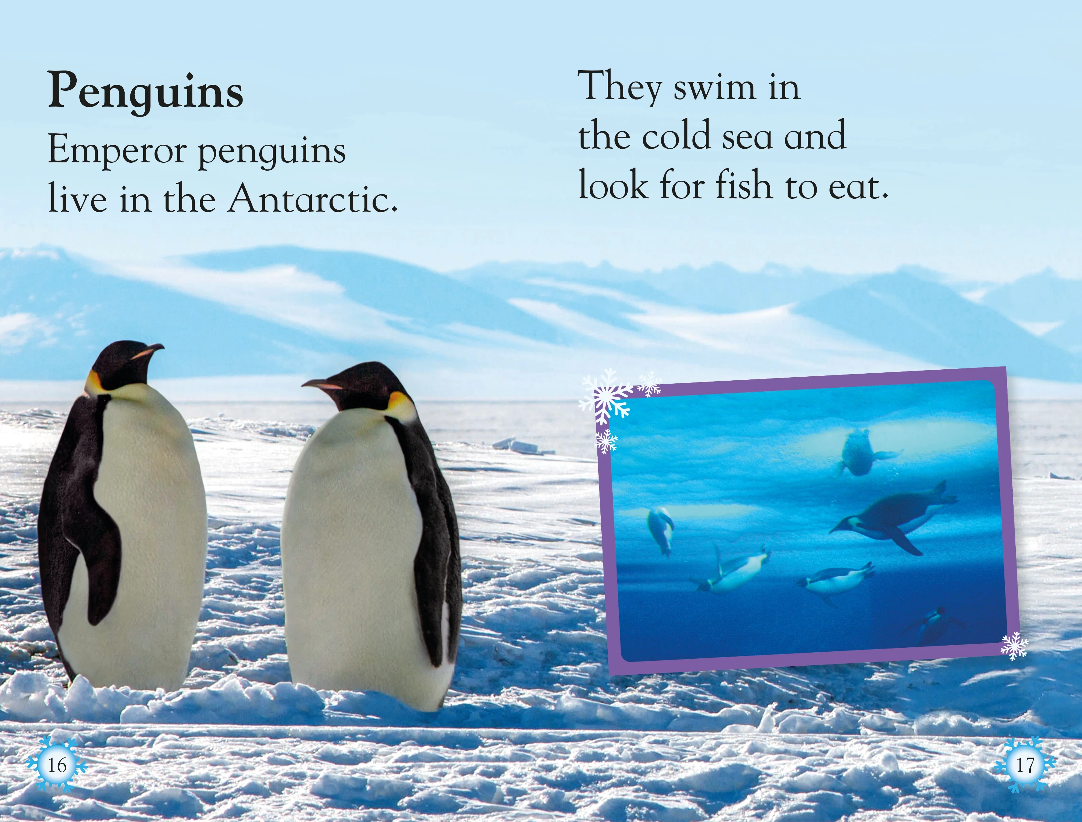 DK Readers L1 Frozen Worlds - Image 4