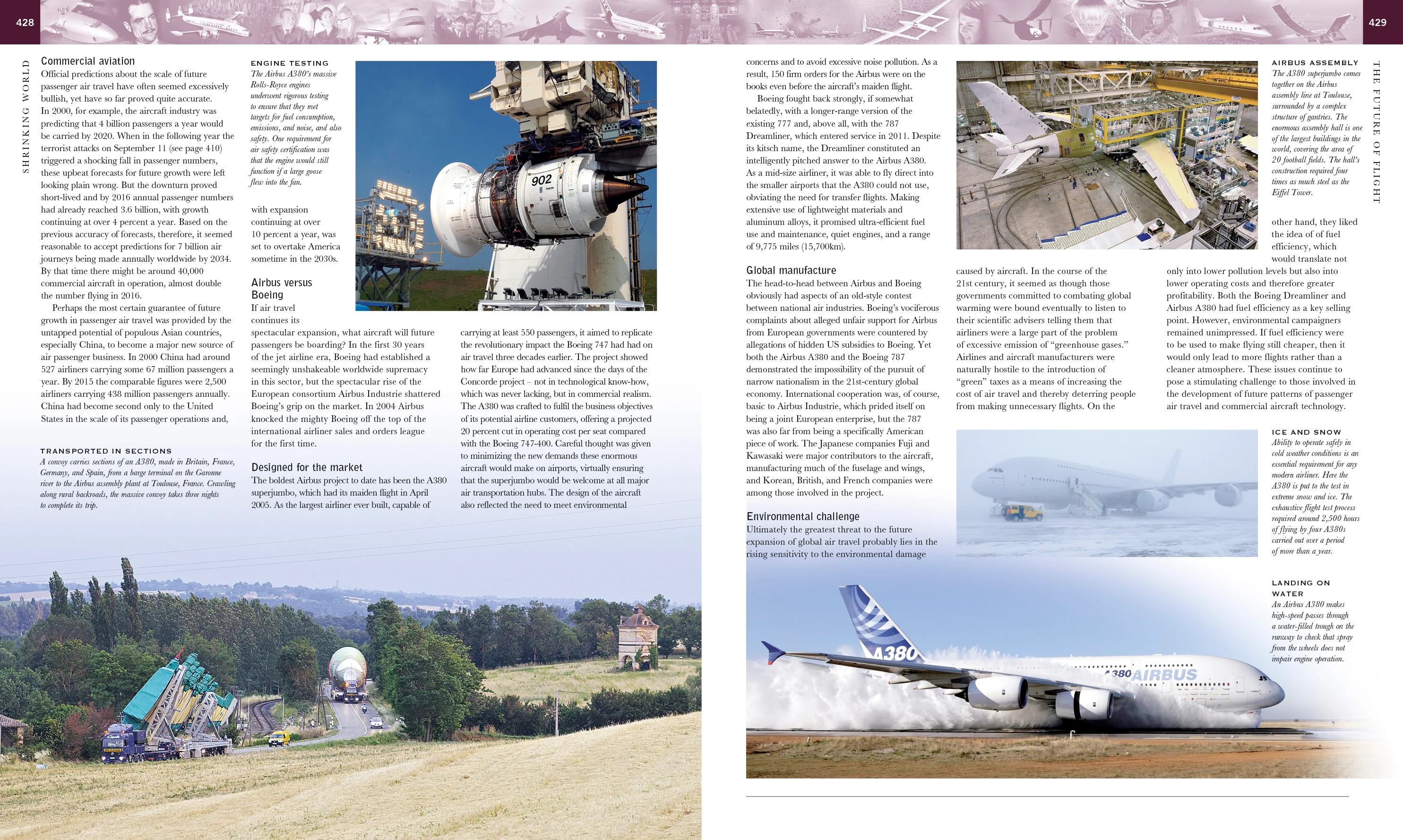 Flight - Image 4