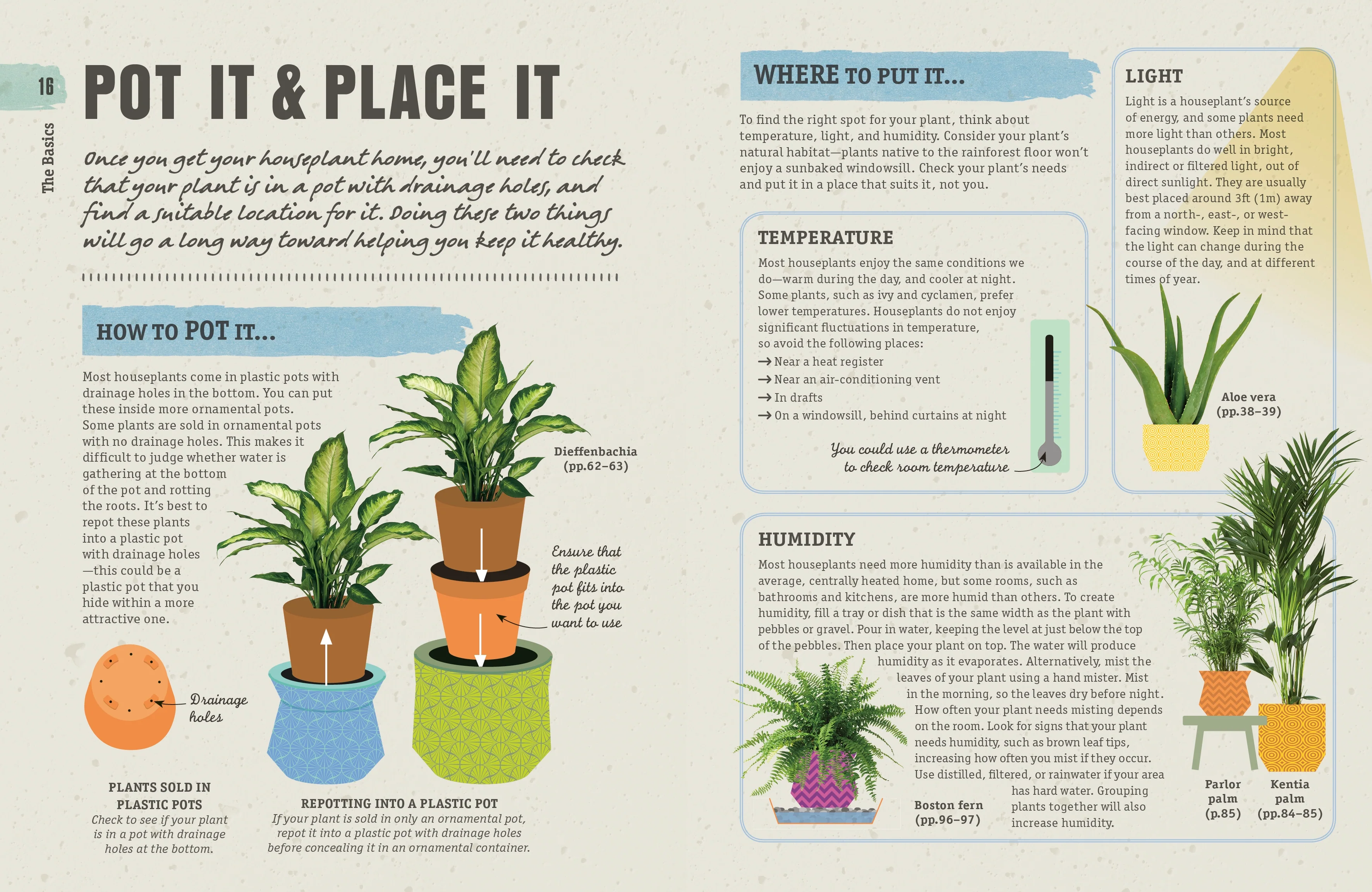 How Not to Kill Your Houseplant - Image 2