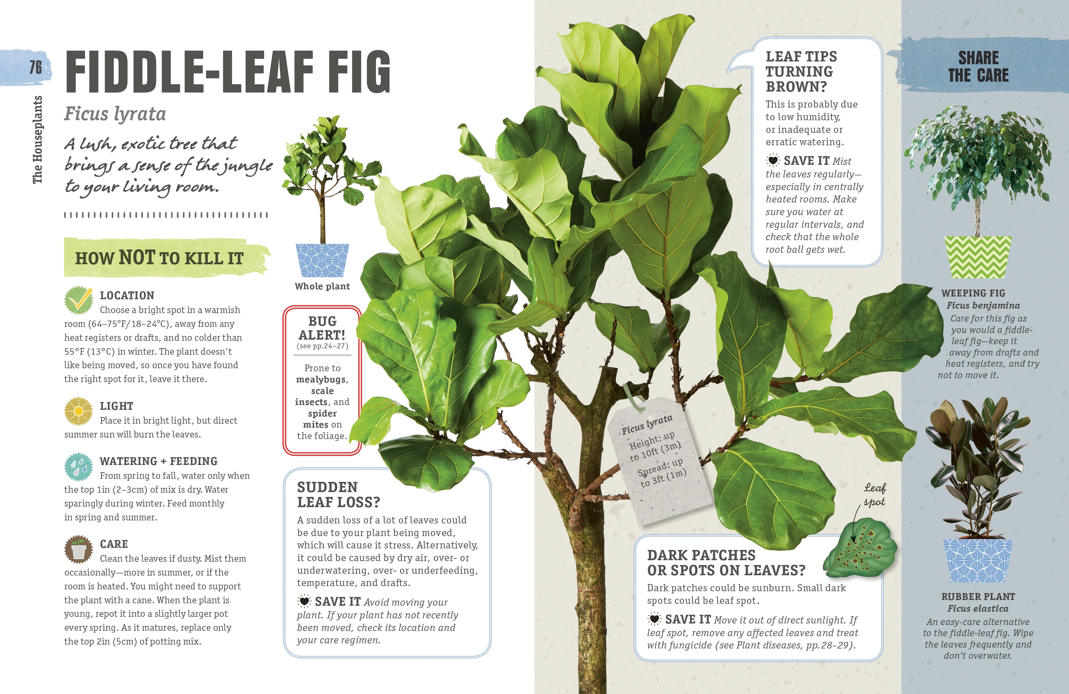 How Not to Kill Your Houseplant - Image 4