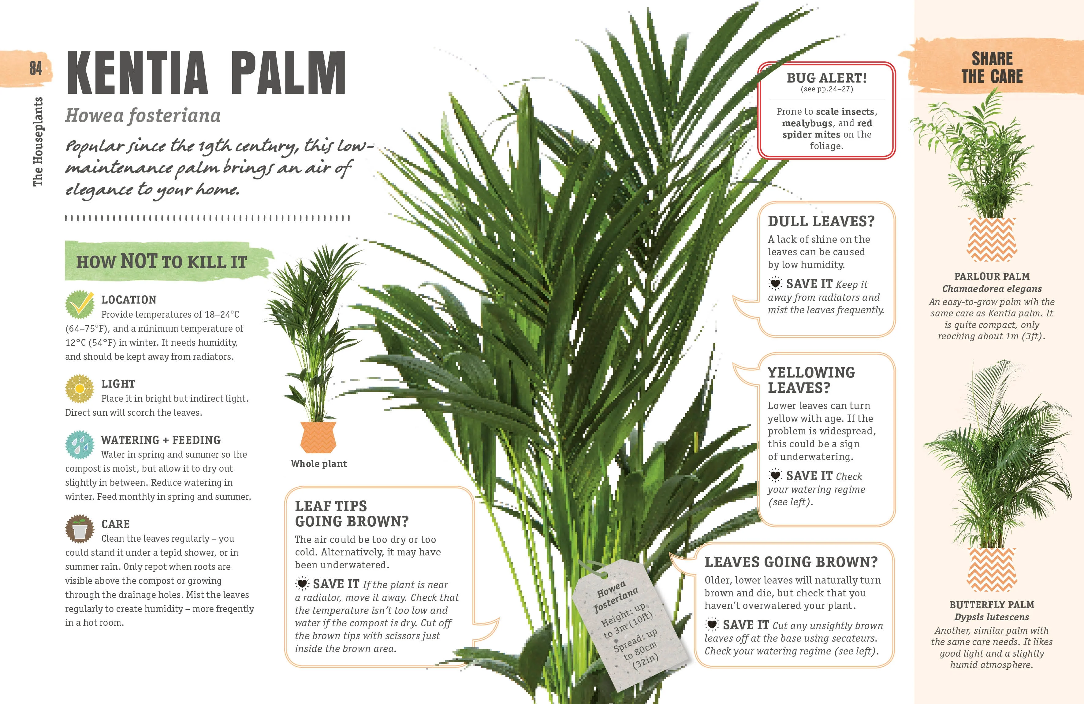 How Not to Kill Your Houseplant - Image 5