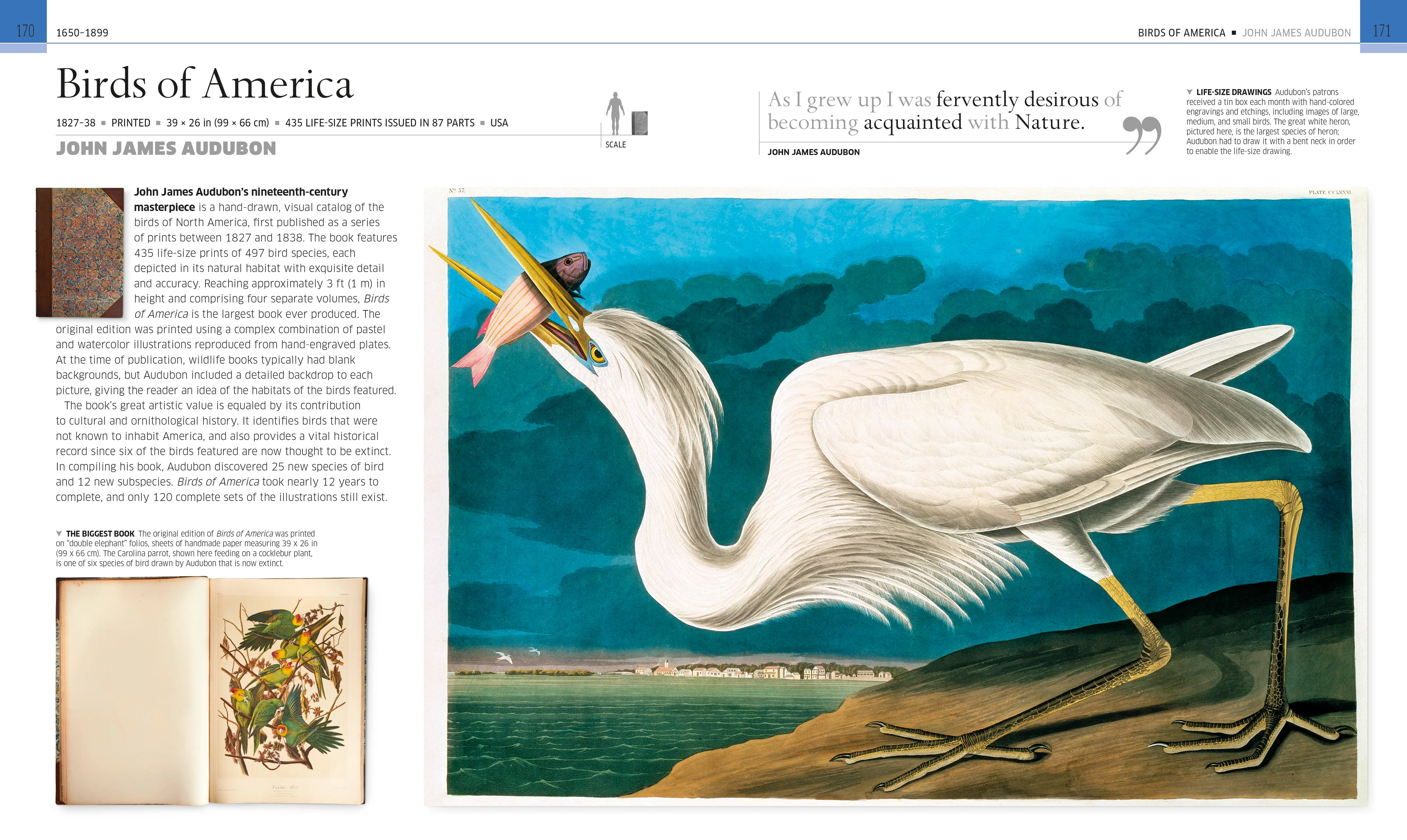 Remarkable Books - Image 4