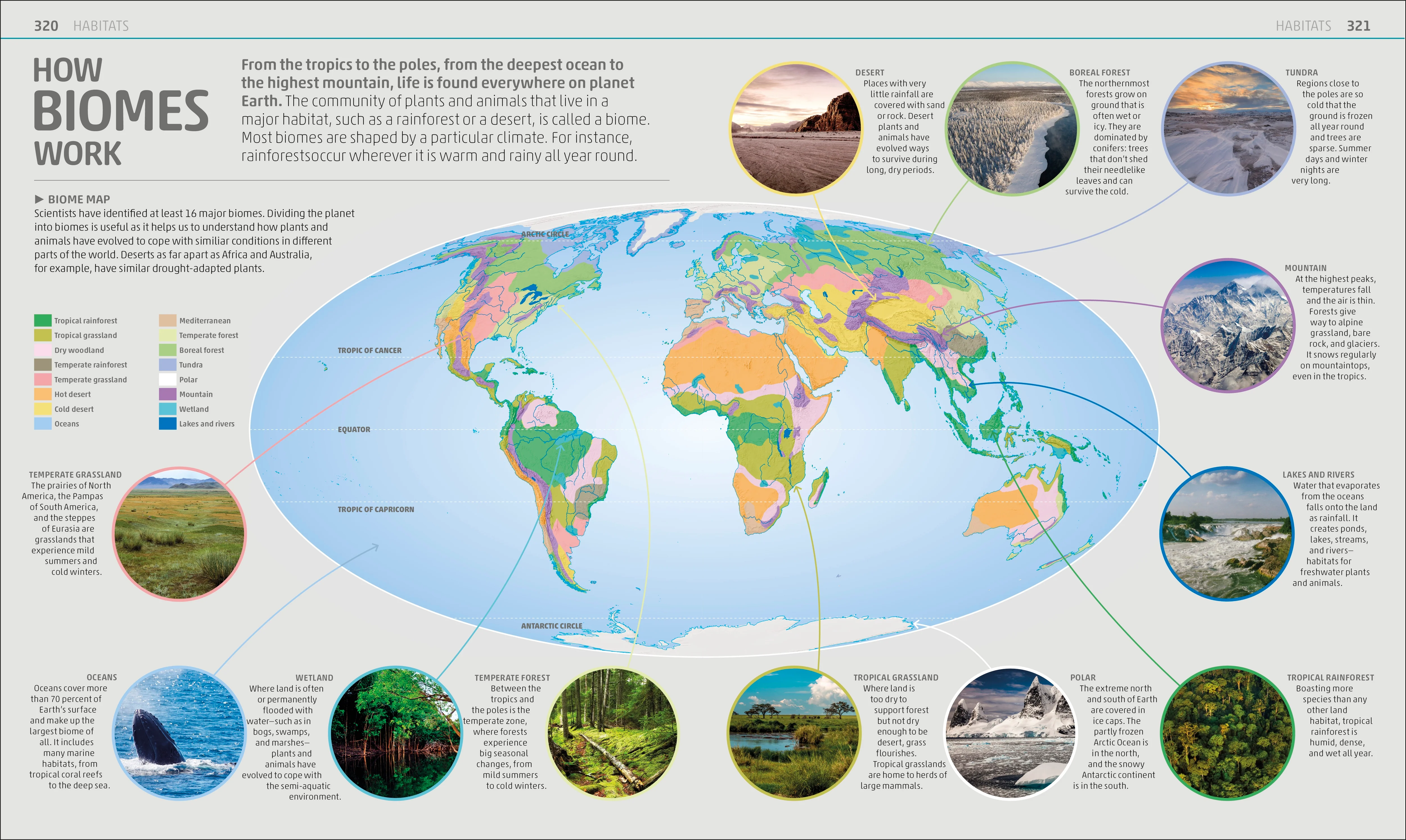 Explanatorium of Nature - Image 7