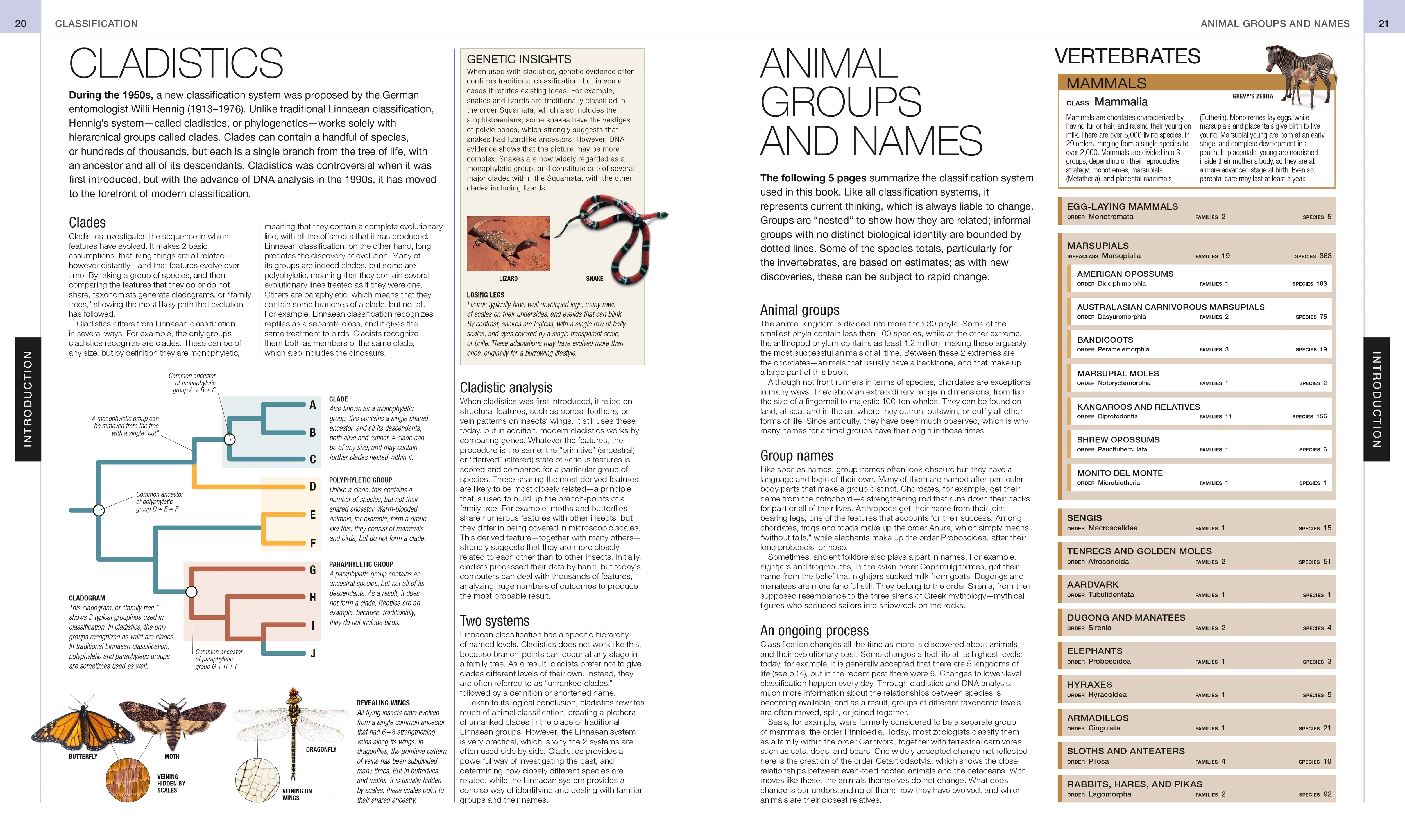 Animal - Image 2