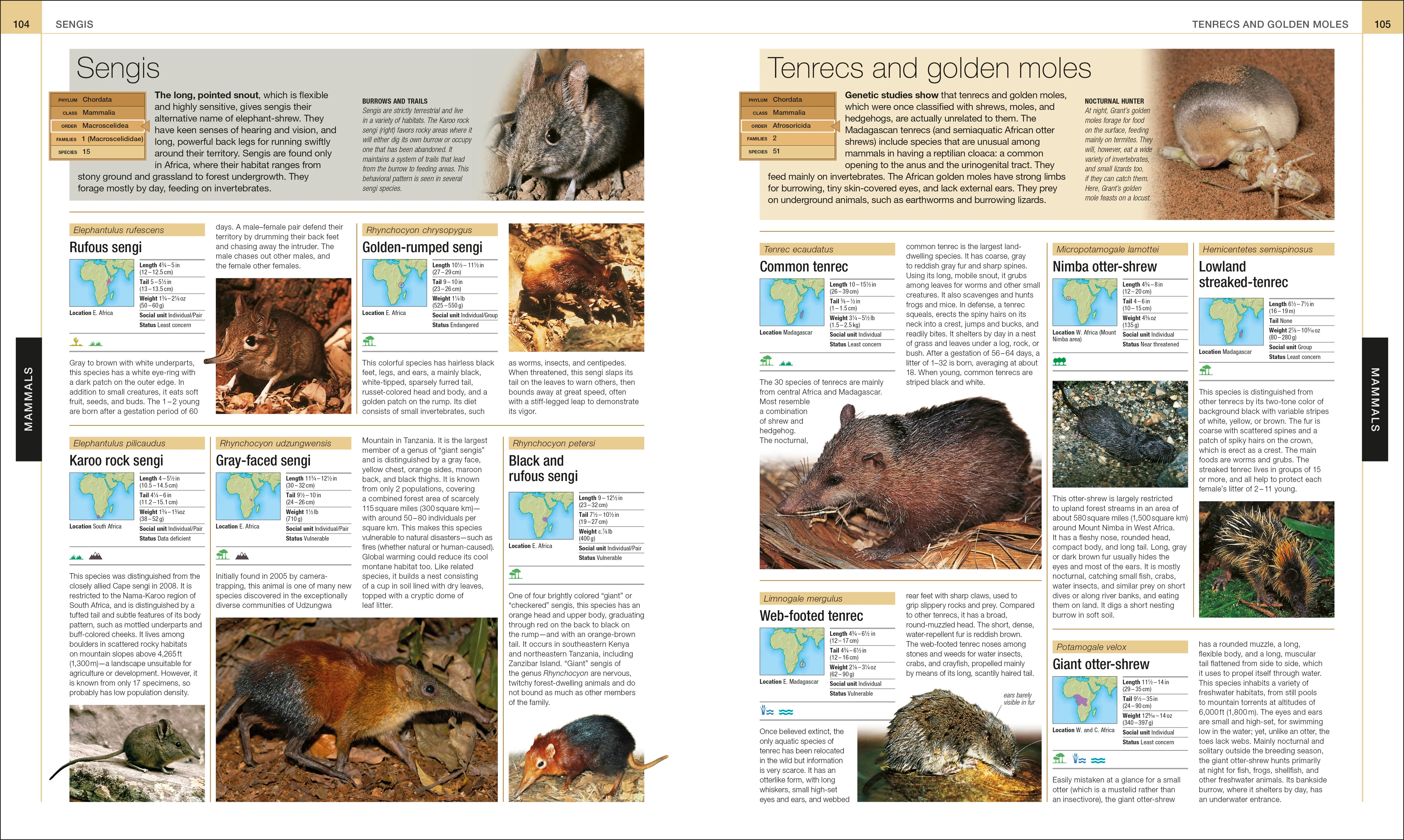 Animal - Image 7