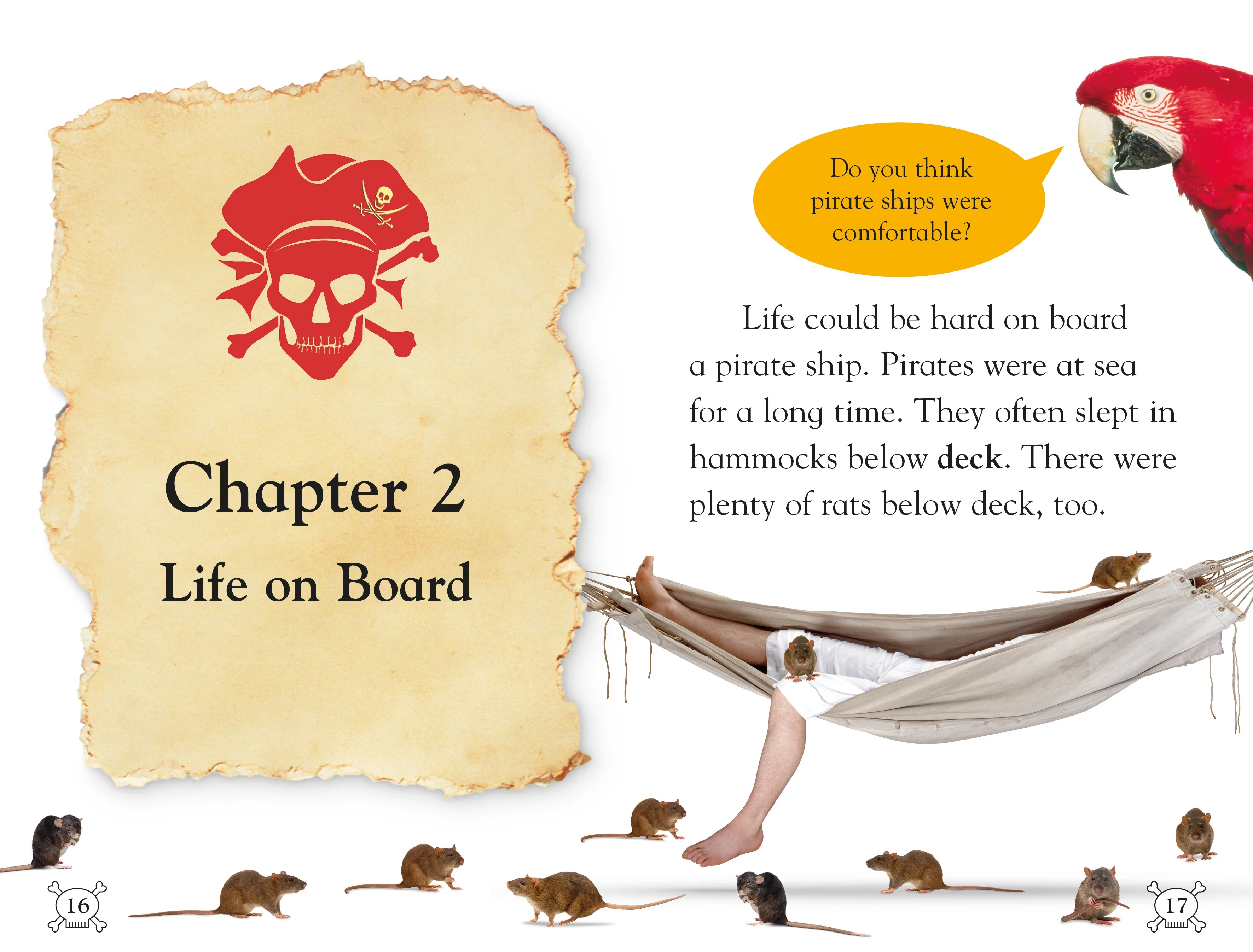 DK Readers L2: Pirate Attack! - Image 3