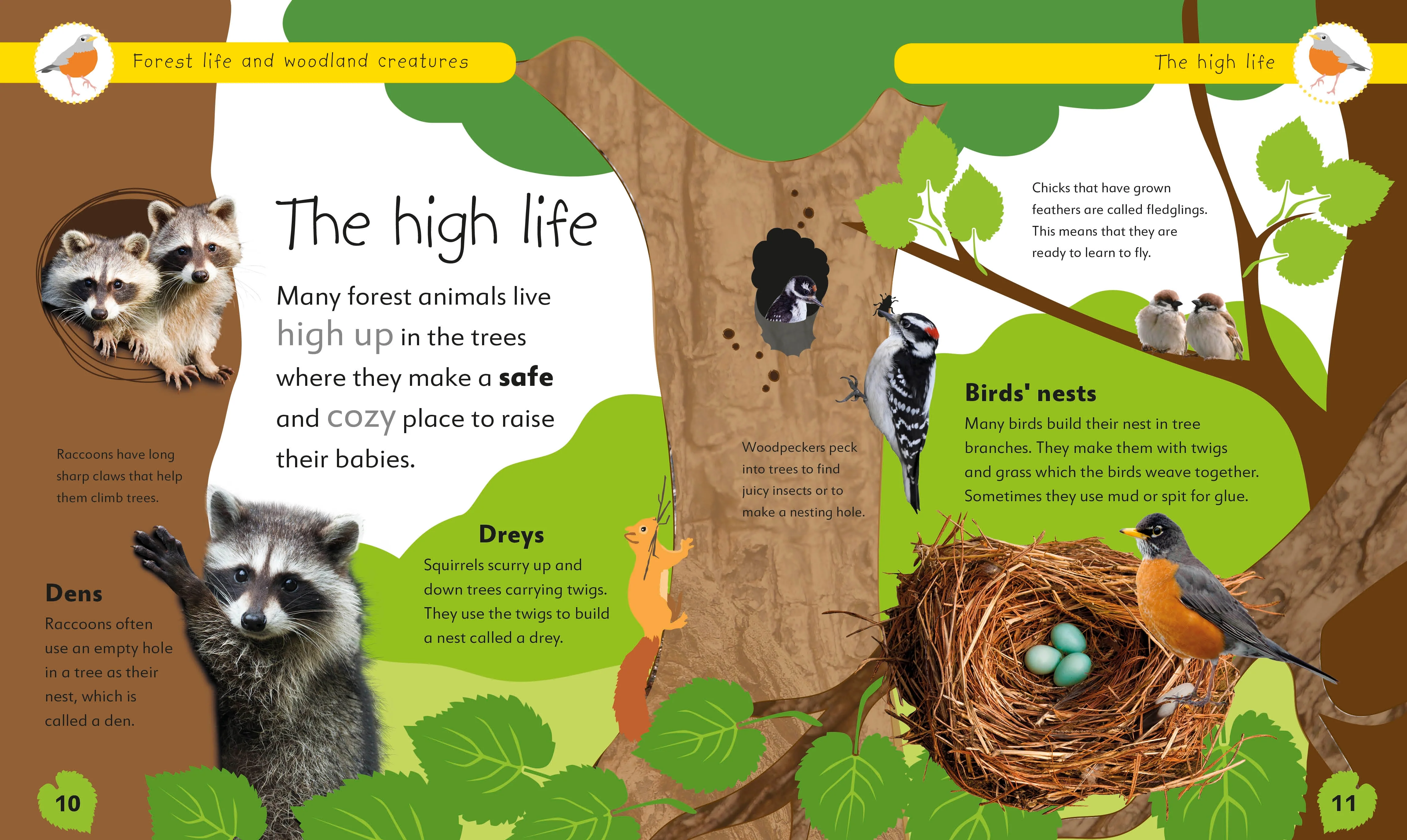 Forest Life and Woodland Creatures - Image 2