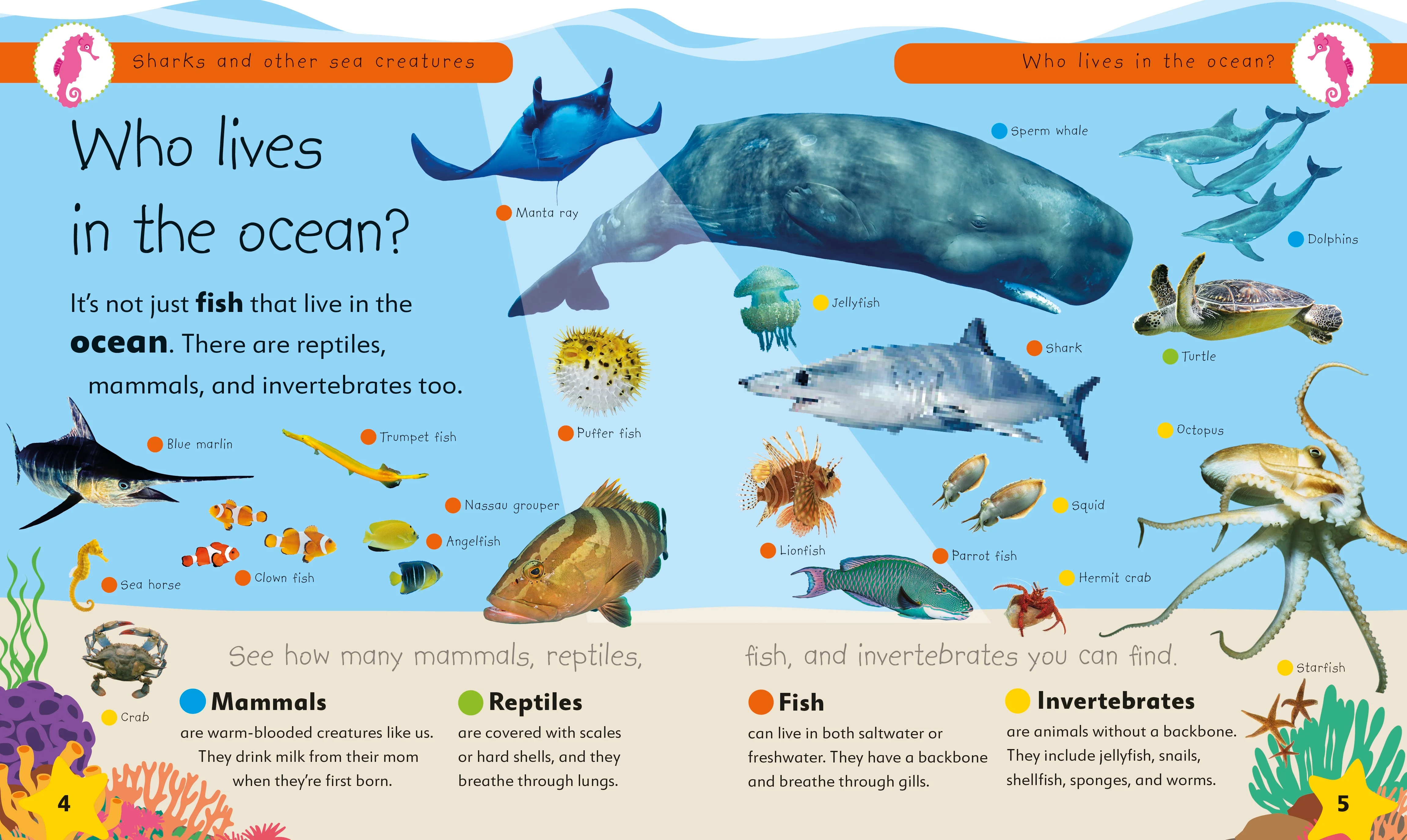 Sharks and Other Sea Creatures - Image 2