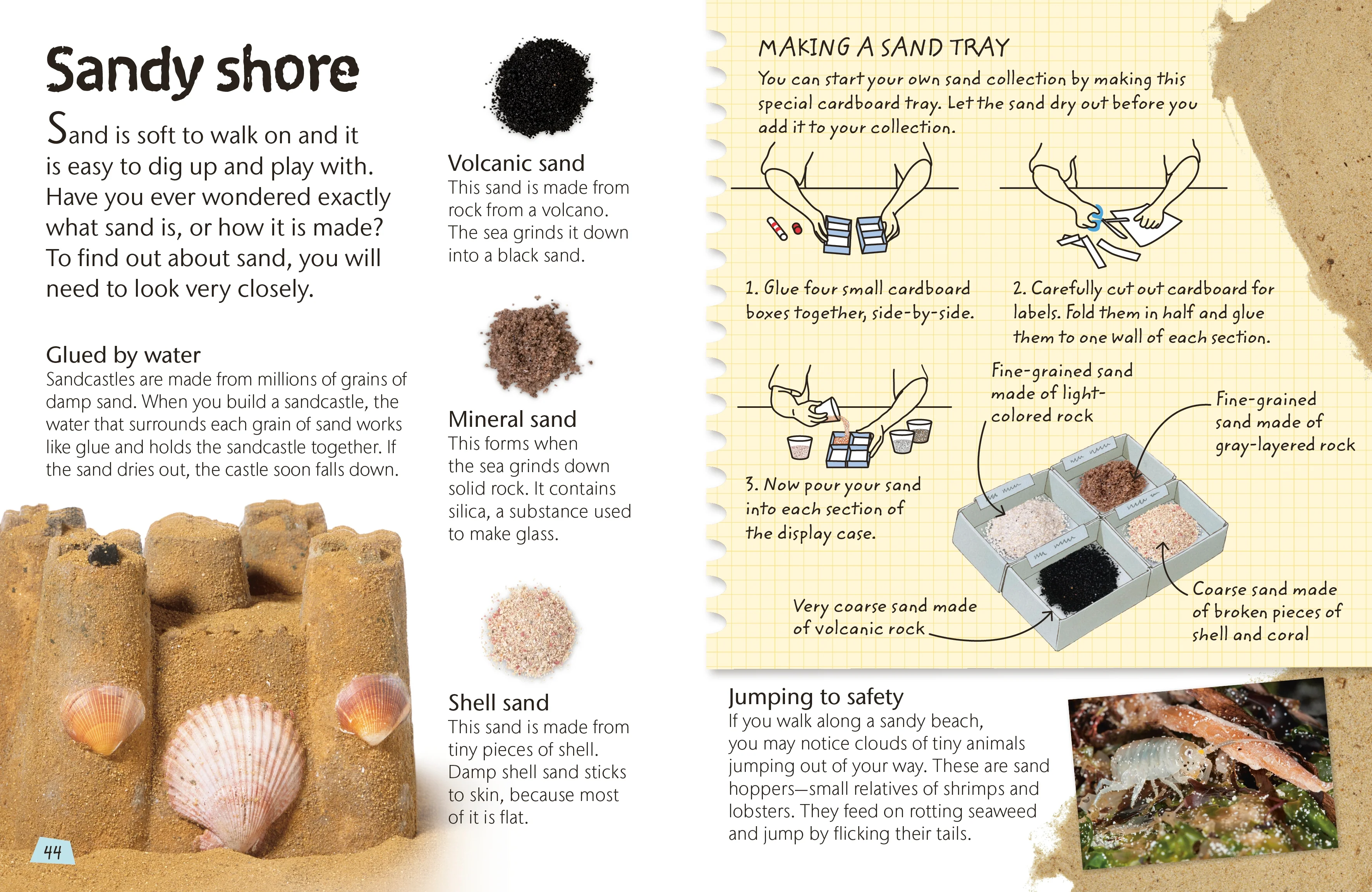 Seashore - Image 4