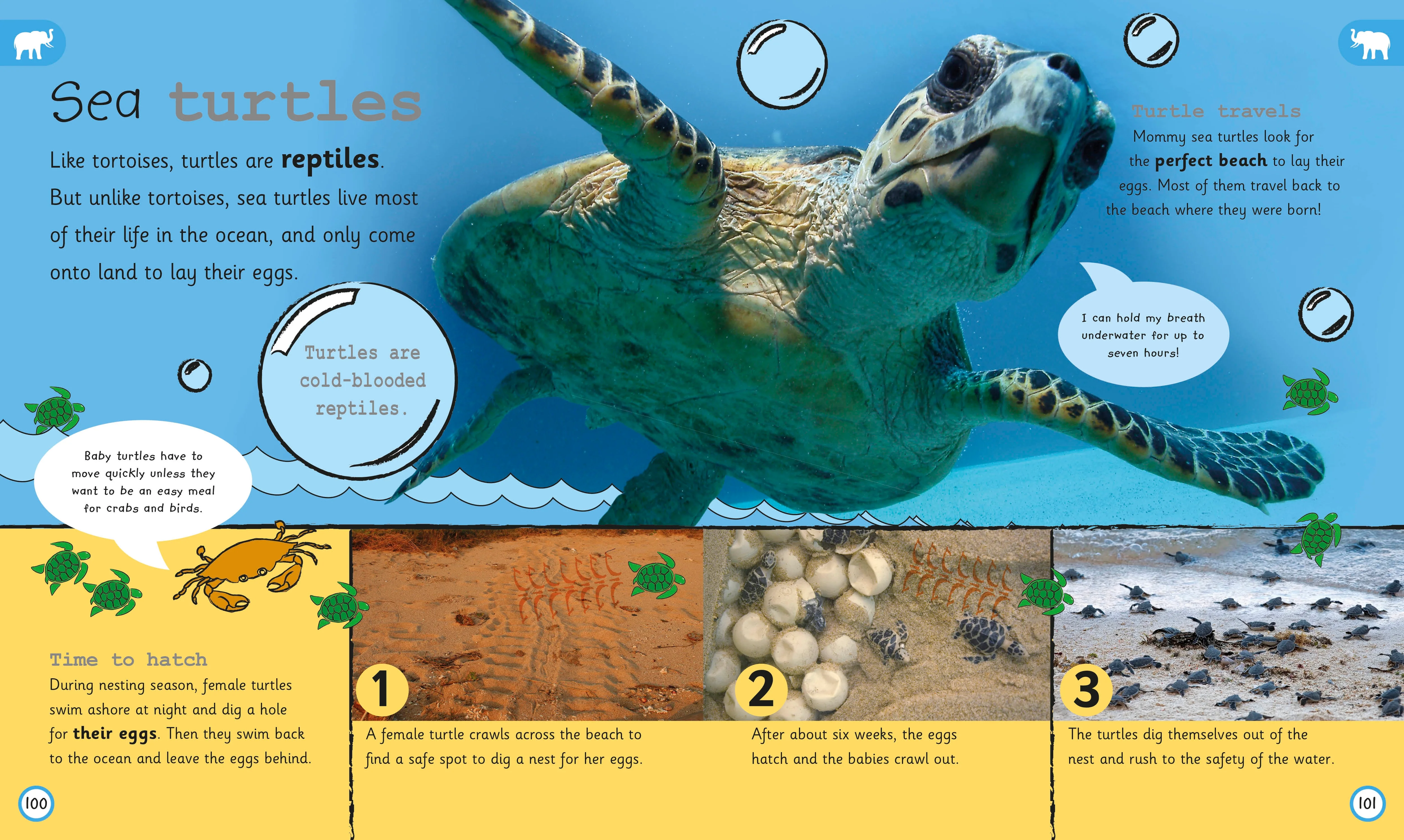 My Encyclopedia of Very Important Animals - Image 3