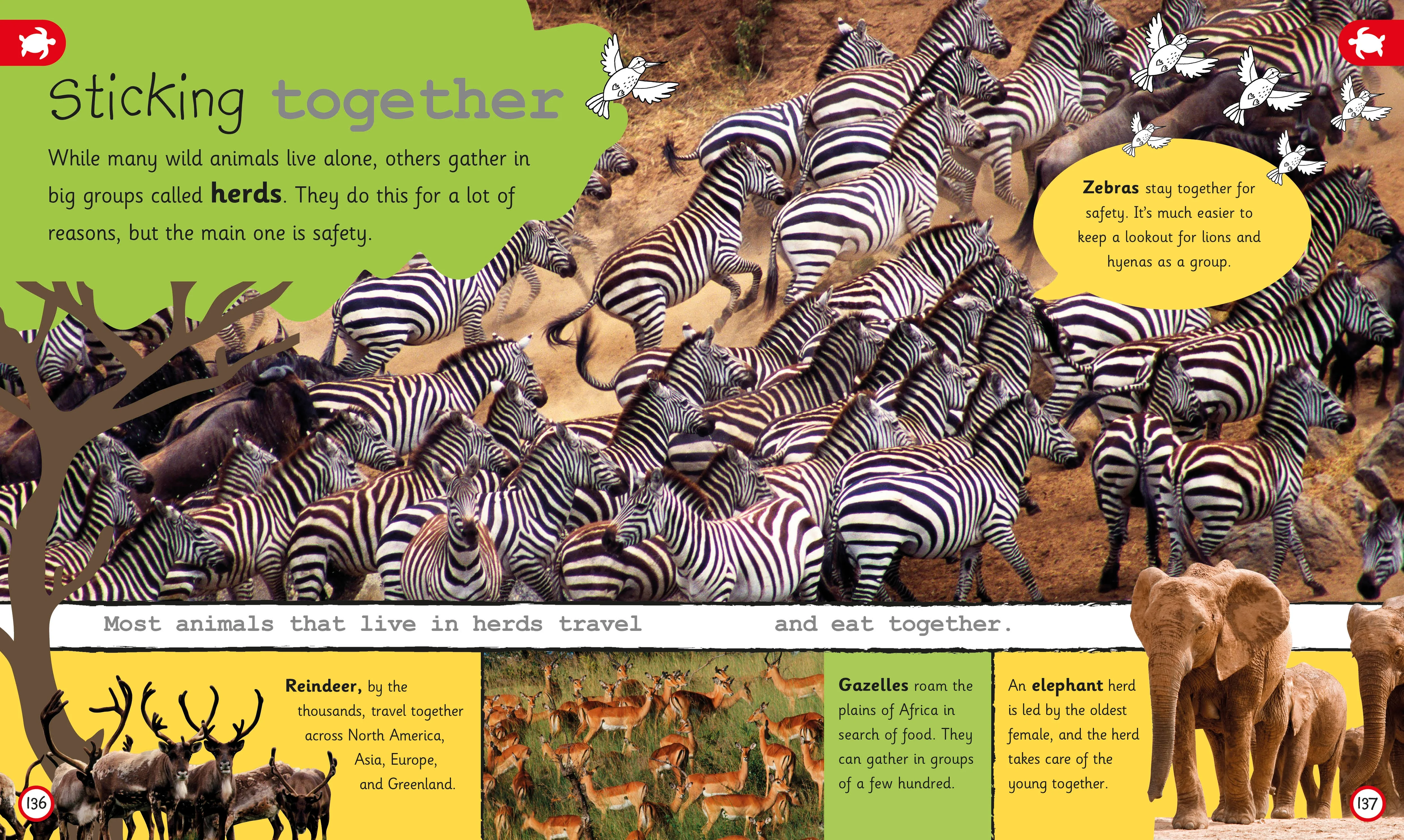 My Encyclopedia of Very Important Animals - Image 5