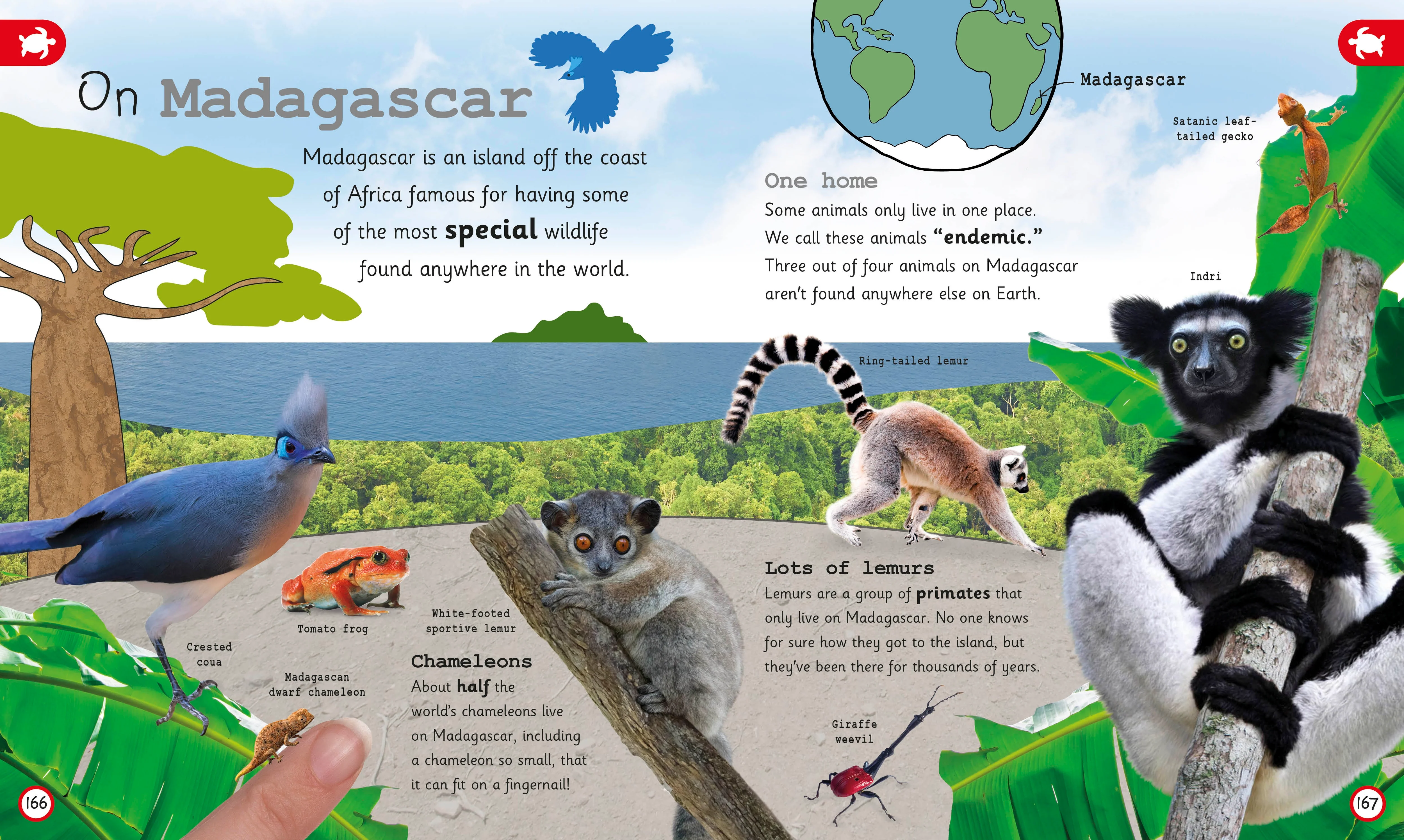 My Encyclopedia of Very Important Animals - Image 7