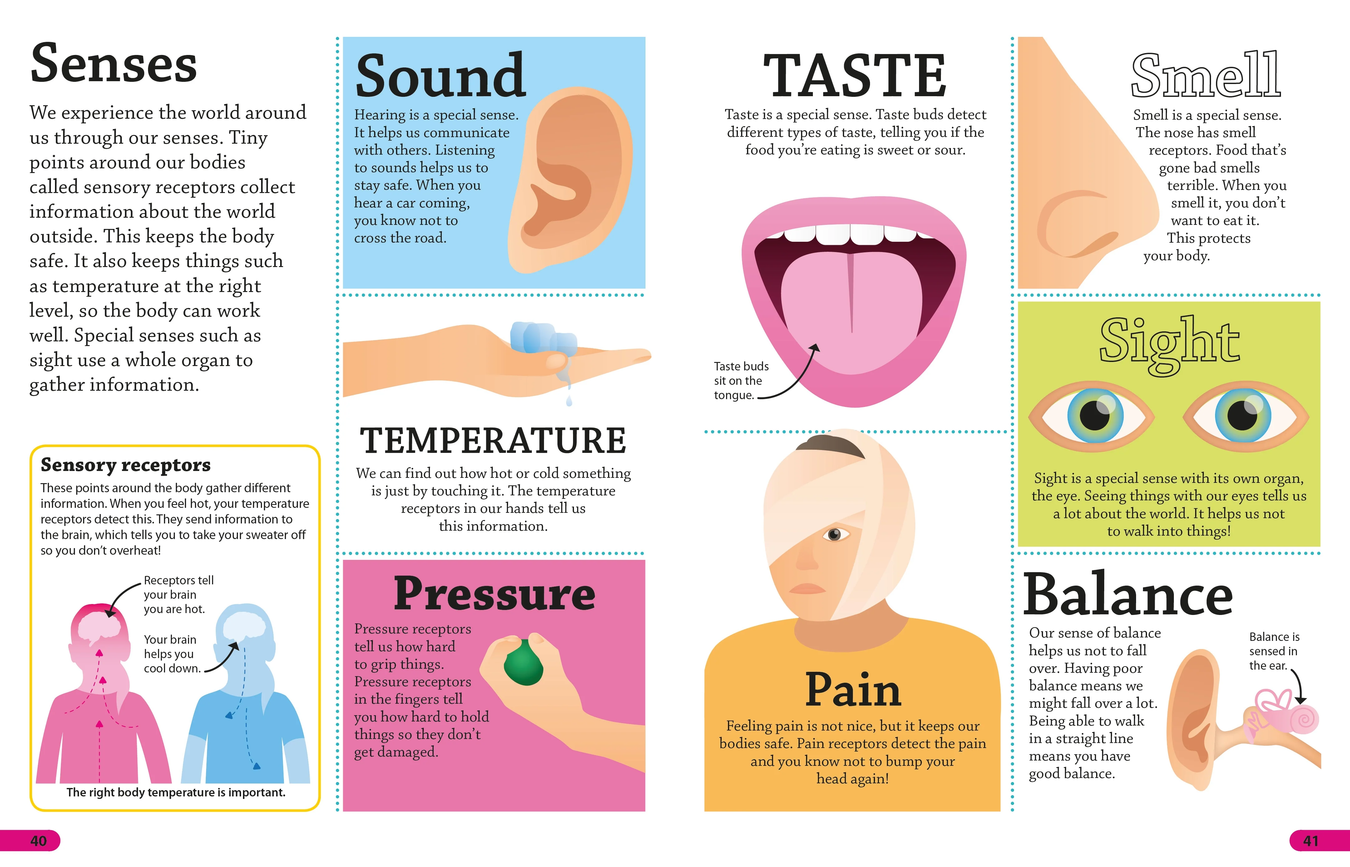 DKfindout! Human Body - Image 3