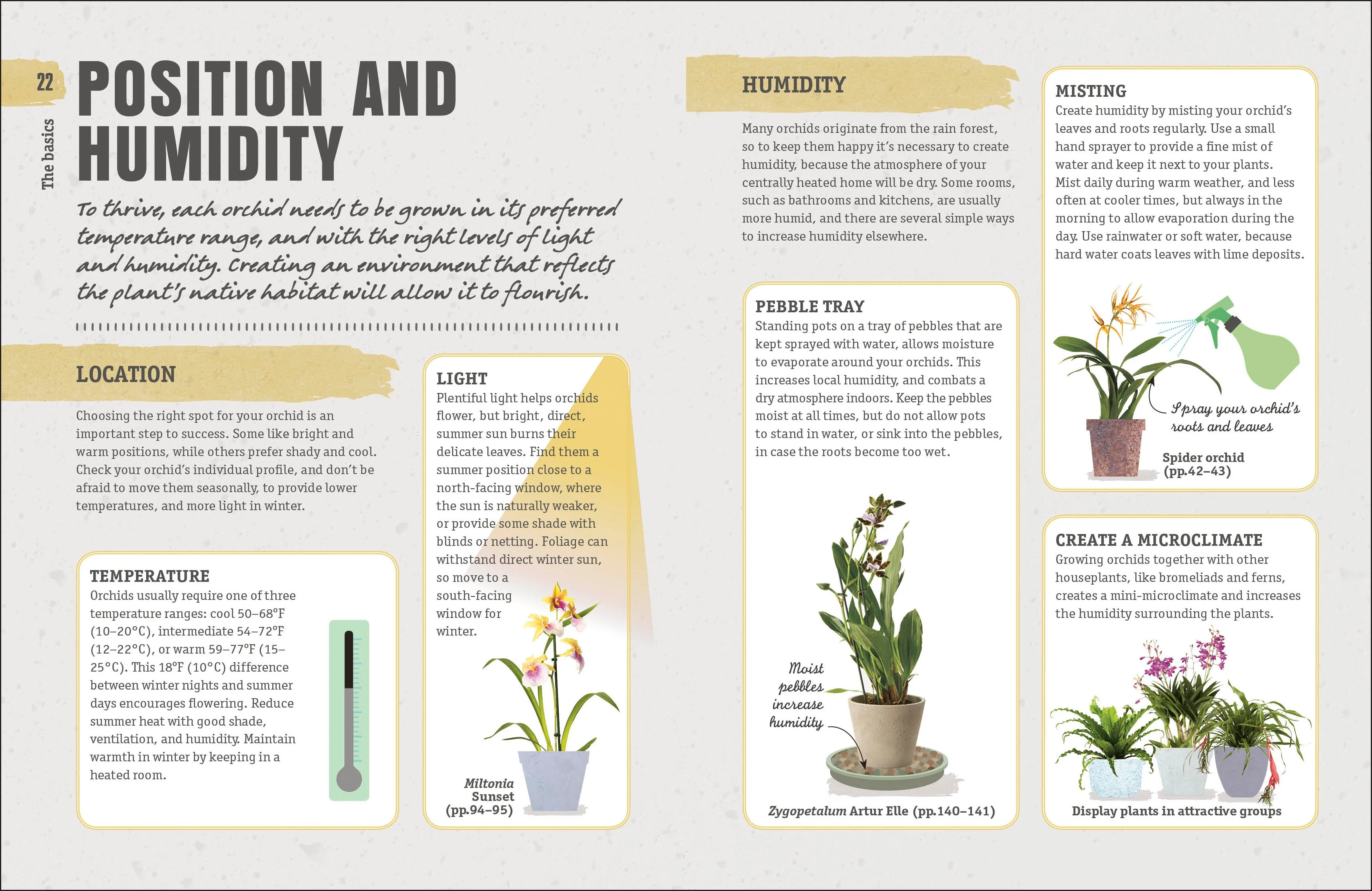 Happy Orchid - Image 2
