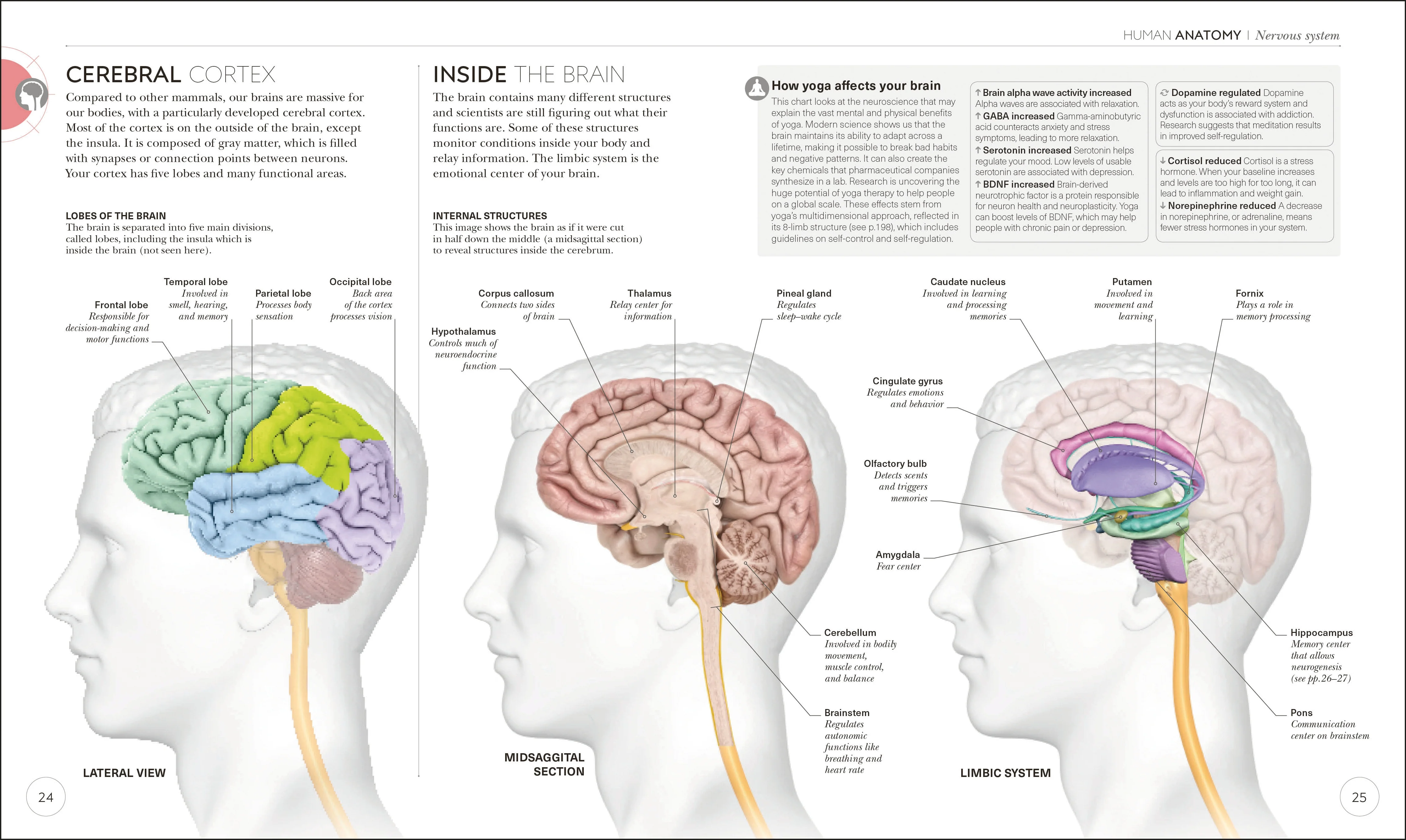 Science of Yoga - Image 2