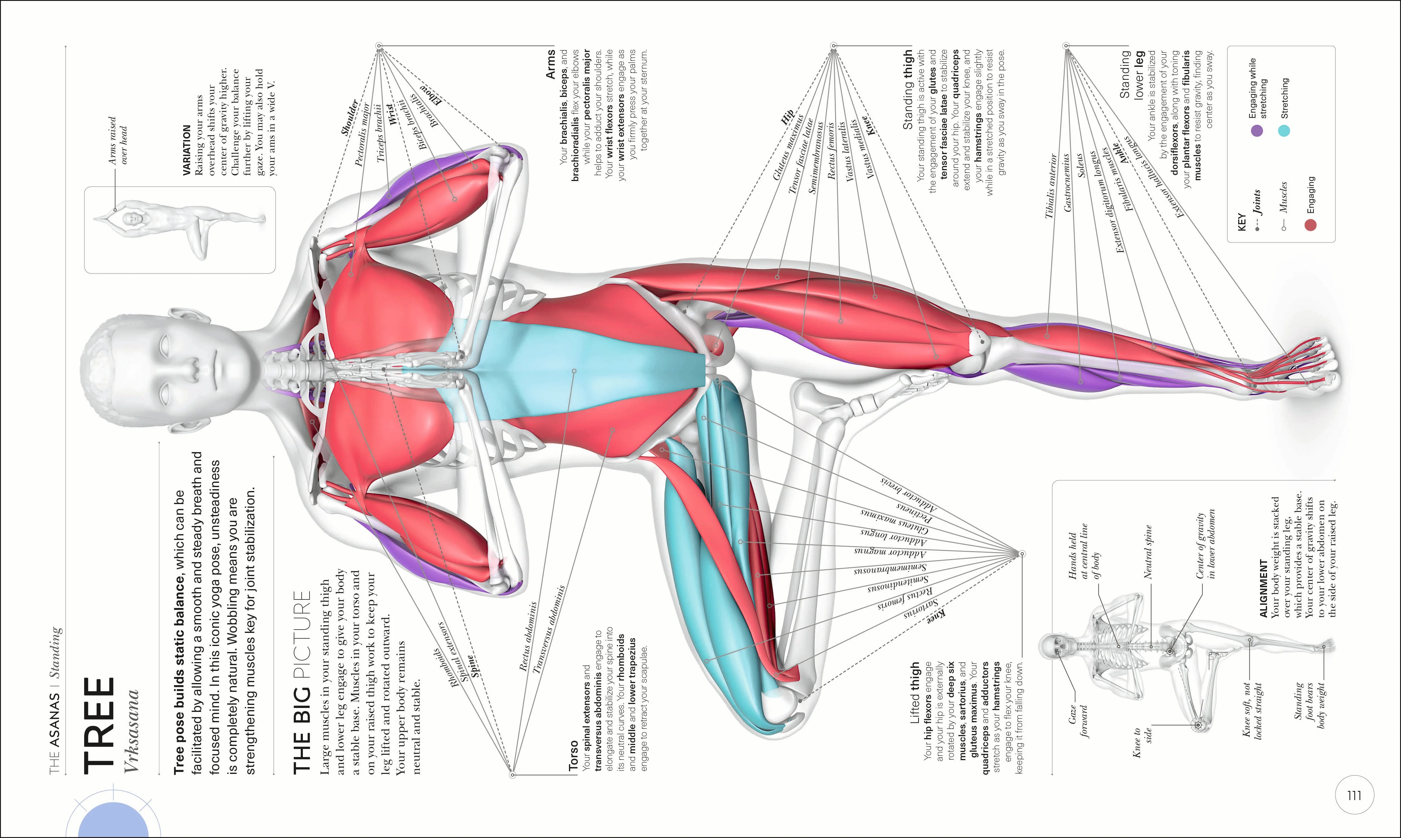 Science of Yoga - Image 3
