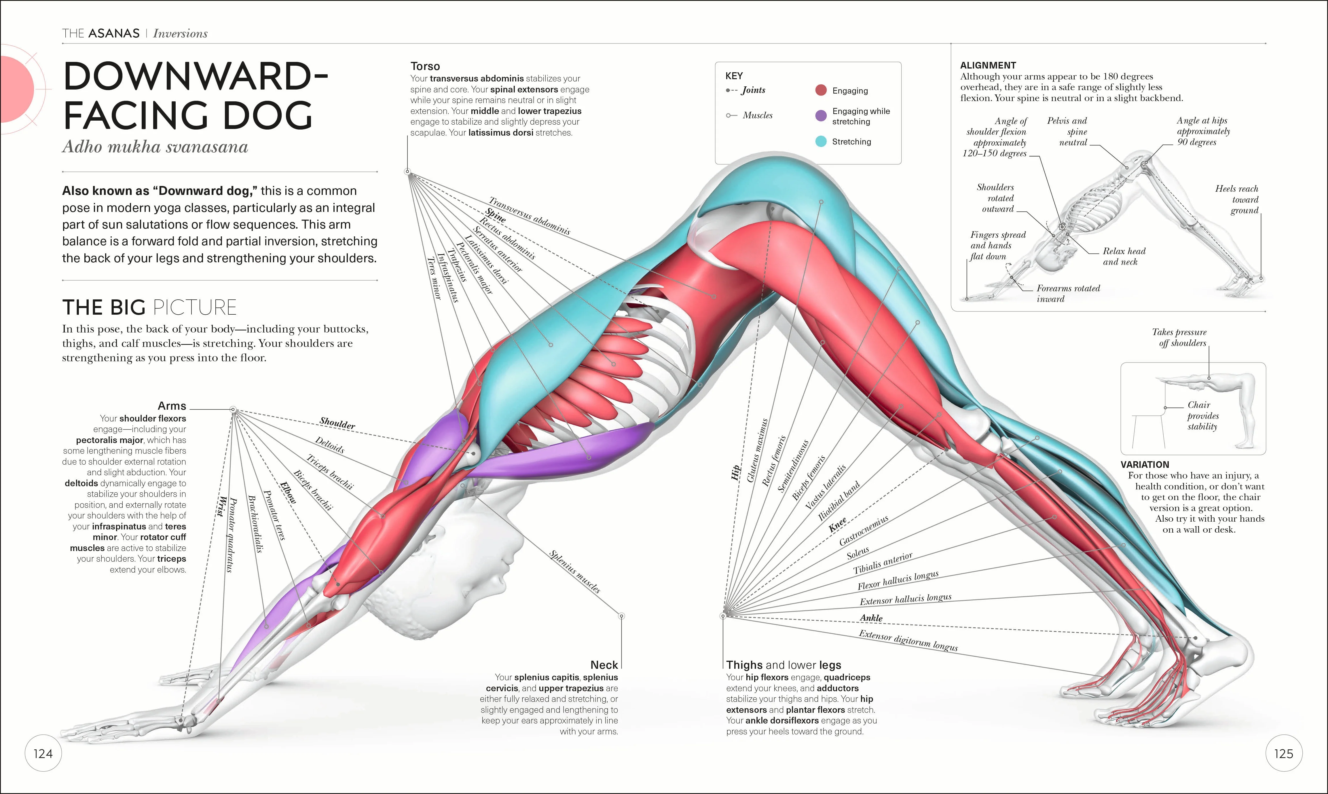 Science of Yoga - Image 4