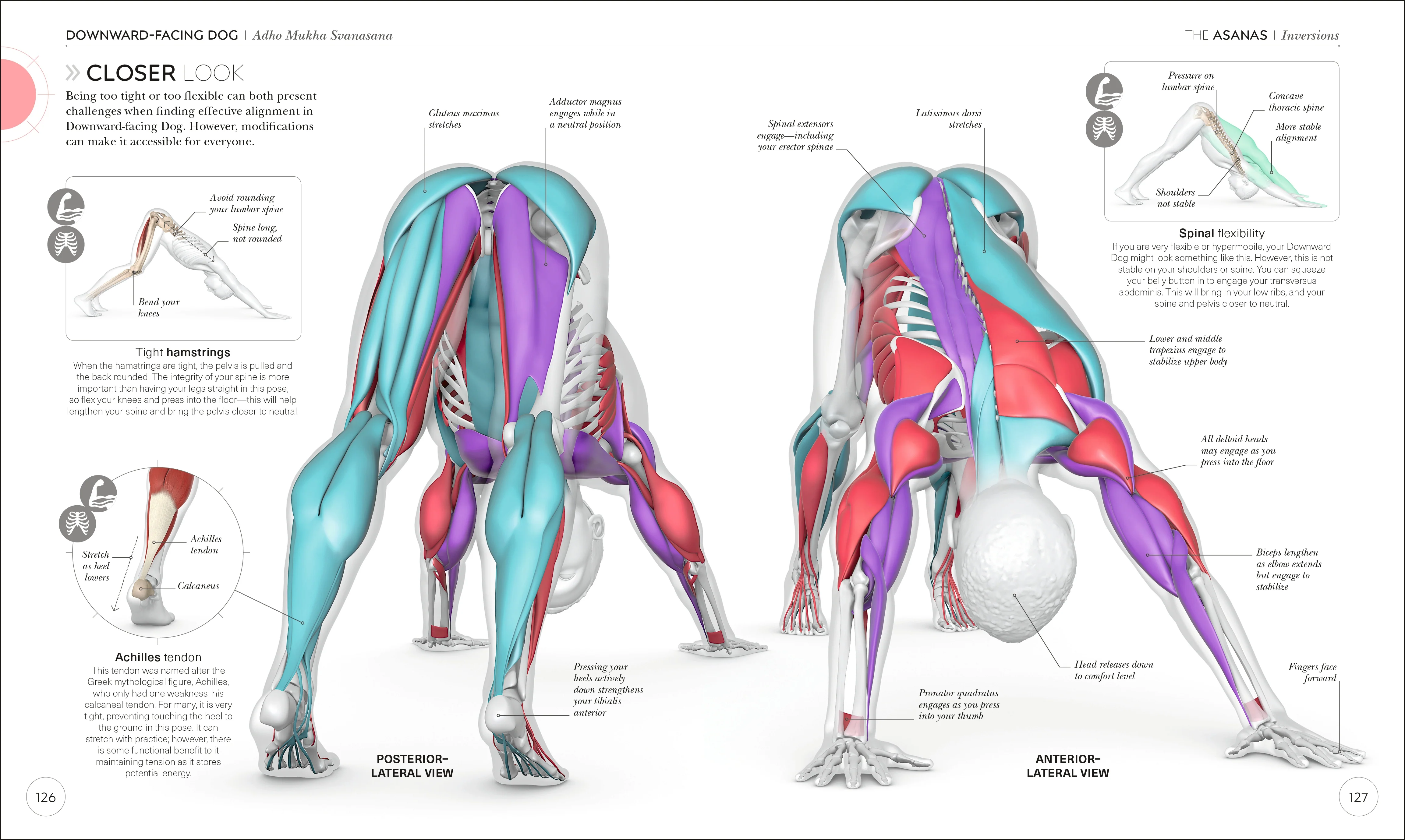 Science of Yoga - Image 5