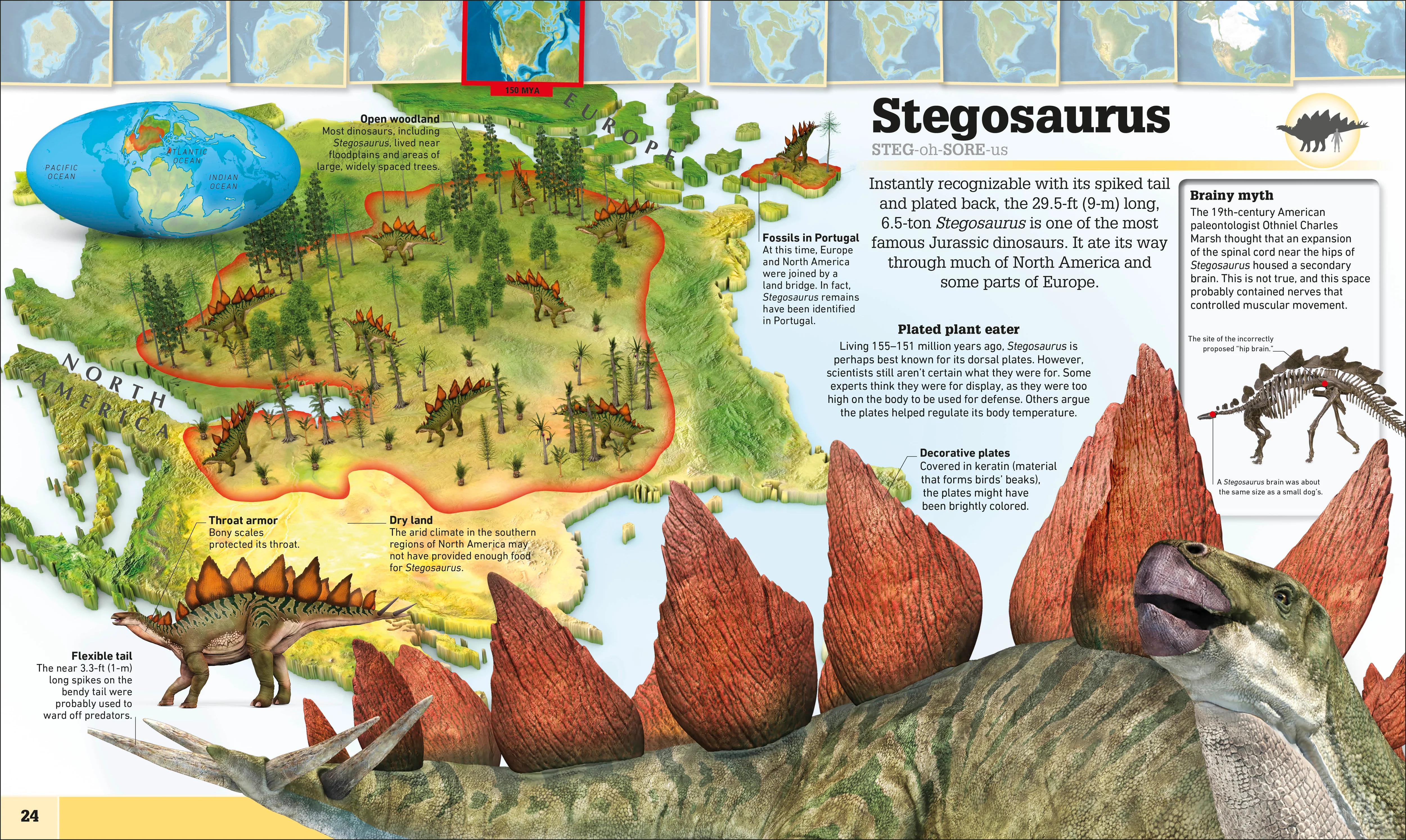 Where on Earth? Dinosaurs and Other Prehistoric Life - Image 2