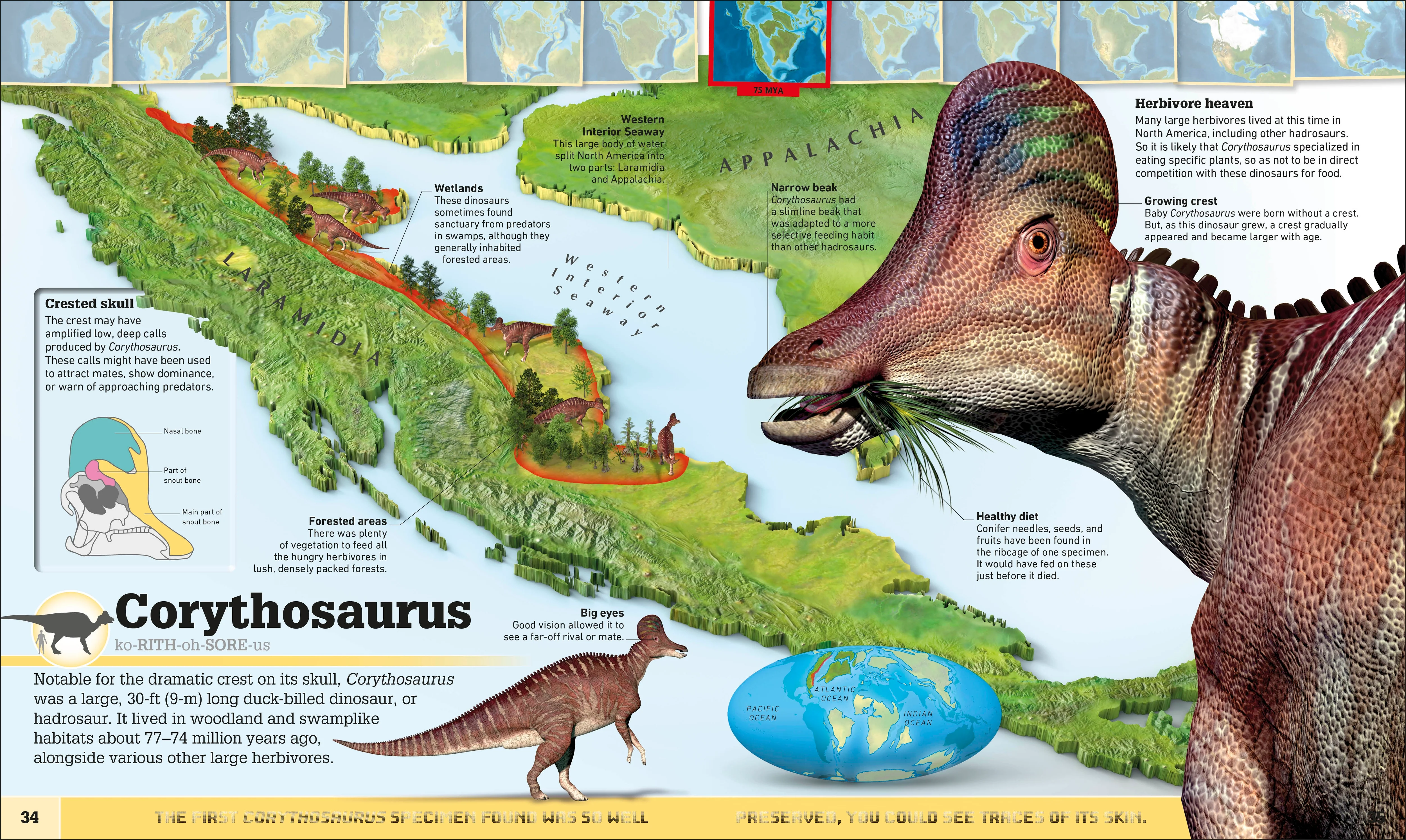 Where on Earth? Dinosaurs and Other Prehistoric Life - Image 4