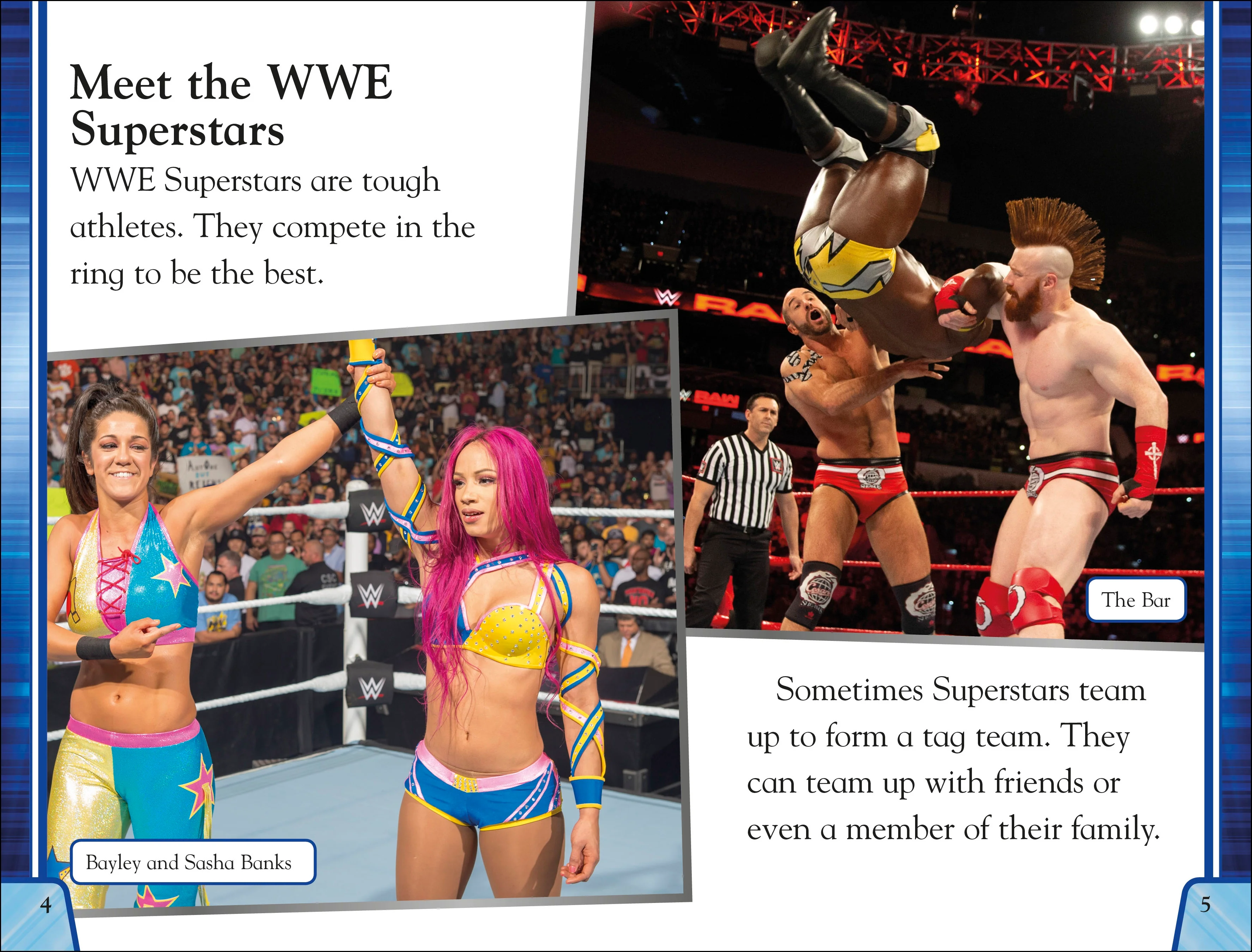 WWE Tag Teams and Team-Ups - Image 2