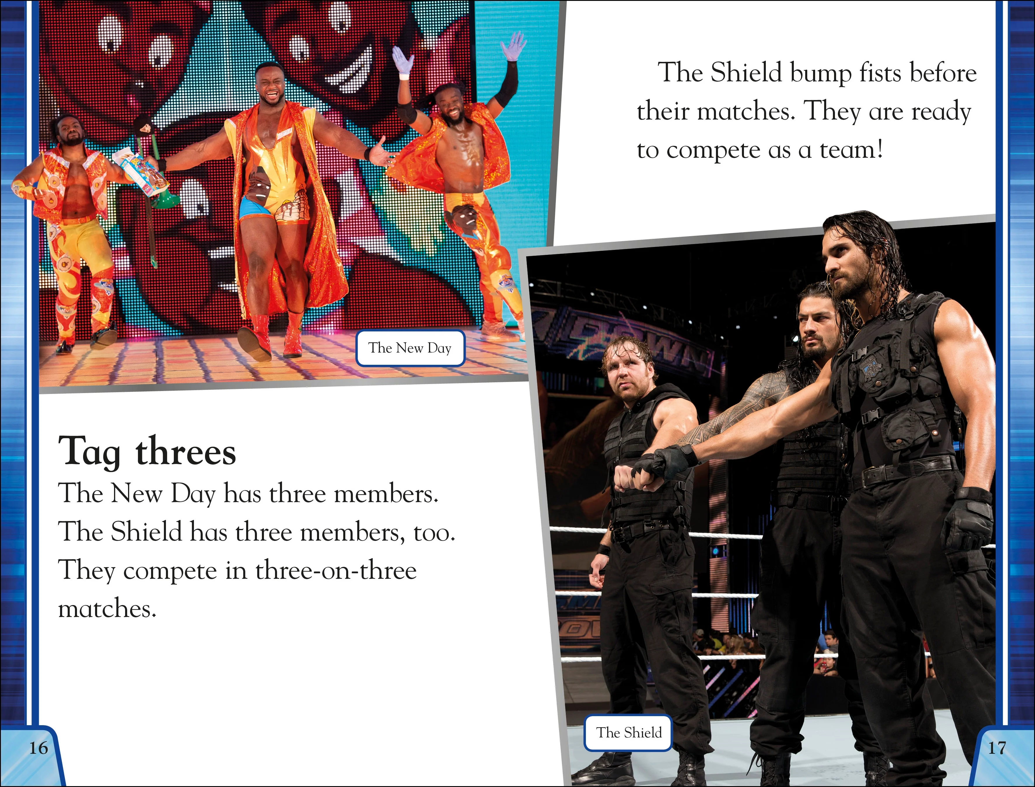 WWE Tag Teams and Team-Ups - Image 7