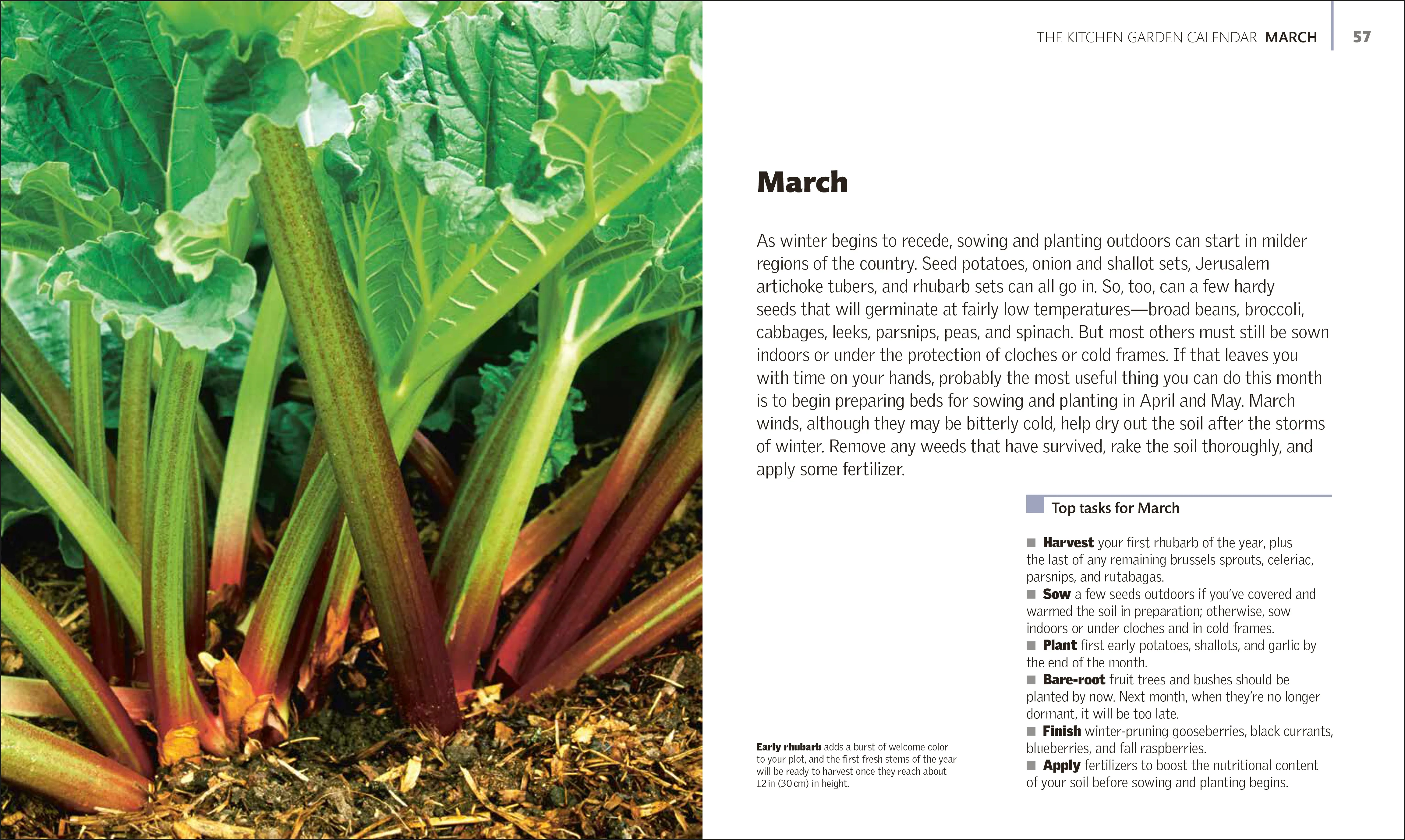 The Kitchen Garden - Image 2