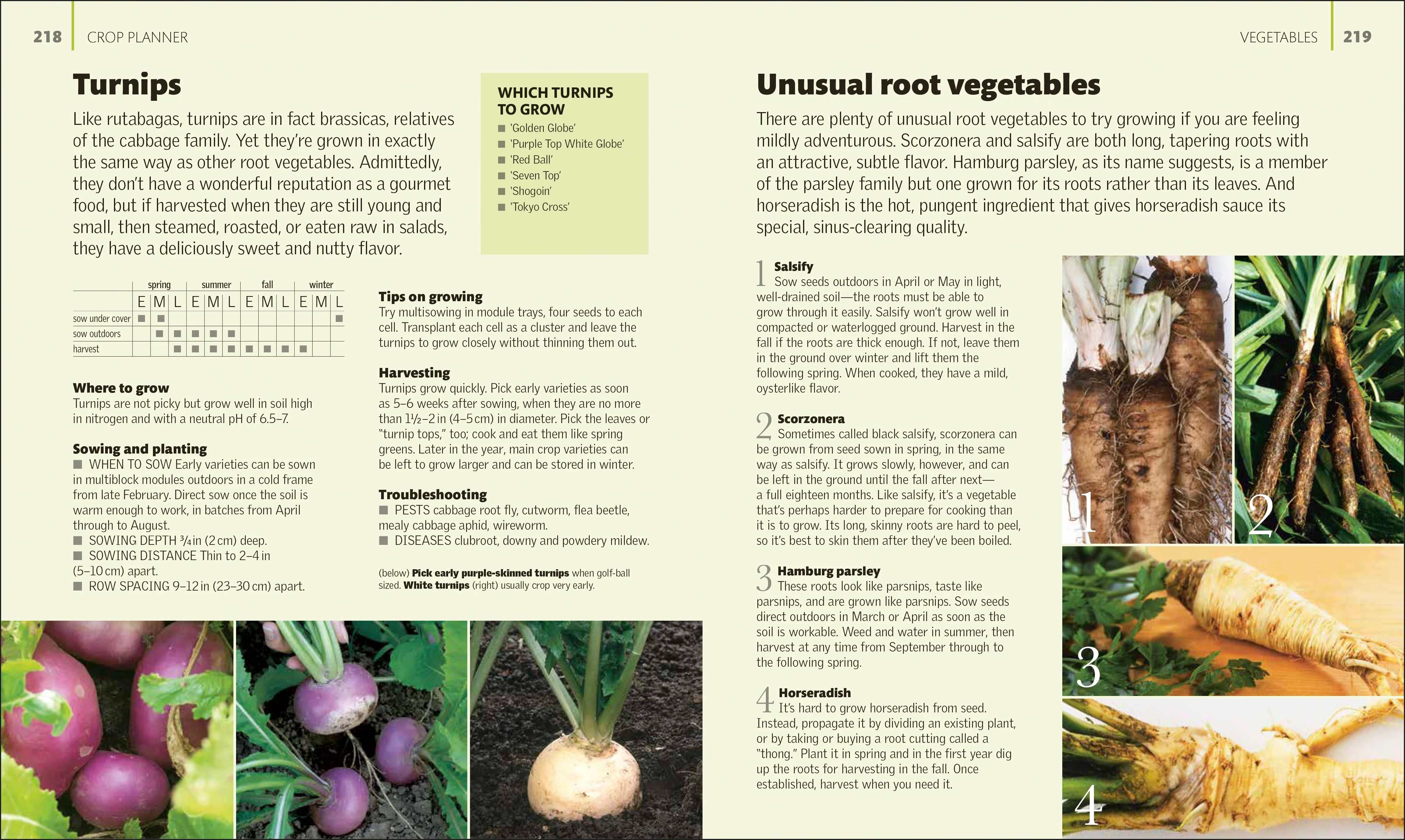 The Kitchen Garden - Image 6