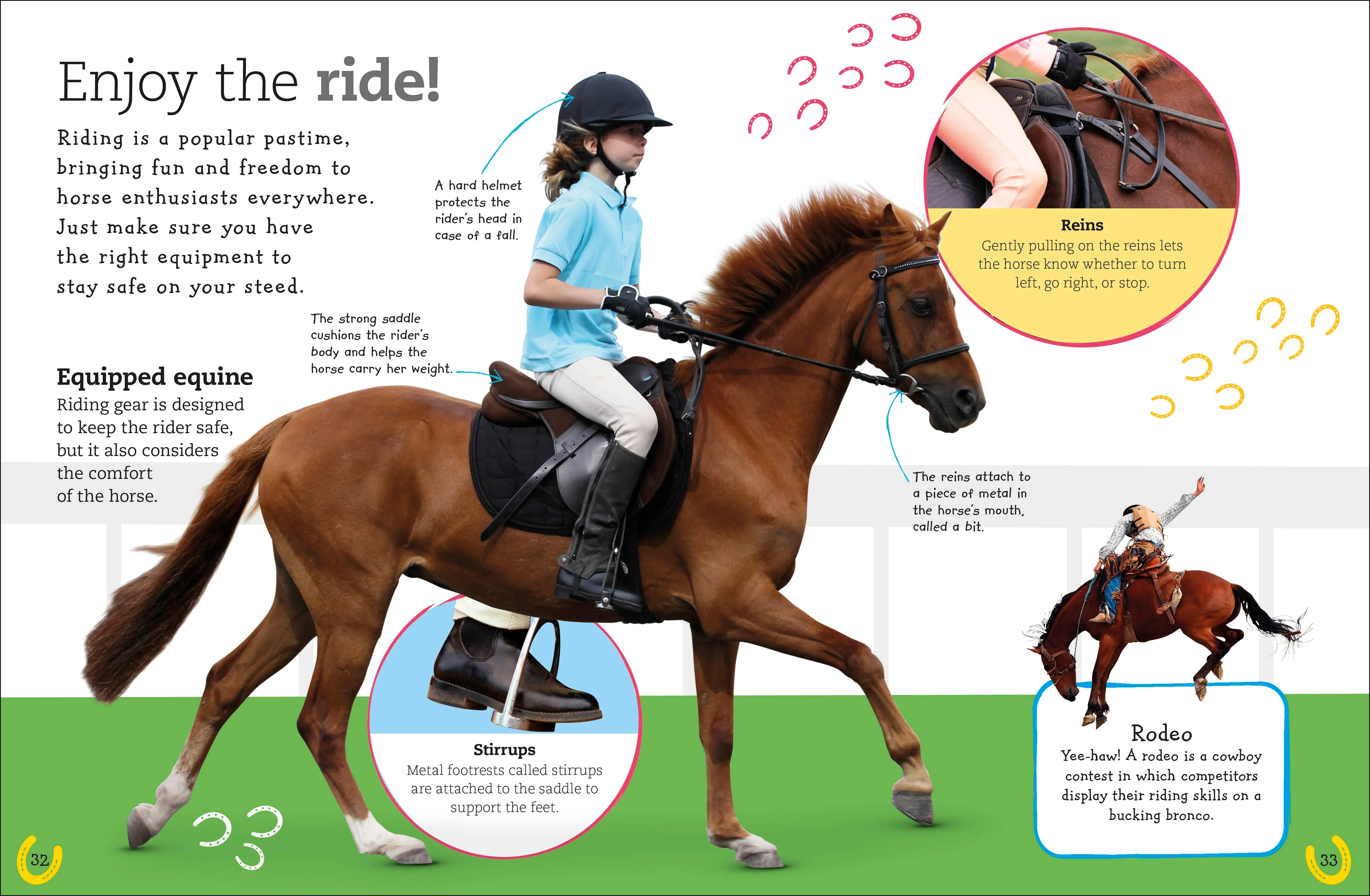 The Everything Book of Horses and Ponies - Image 3
