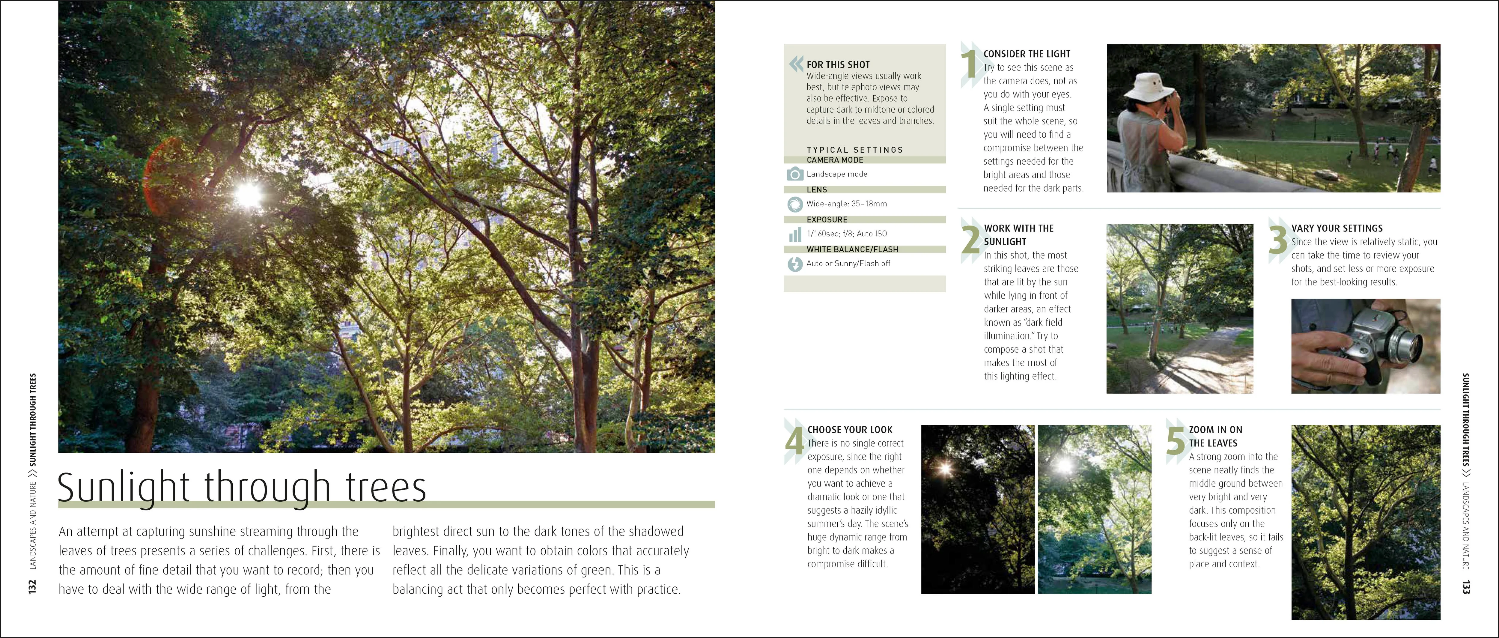 How to Photograph Absolutely Everything - Image 5