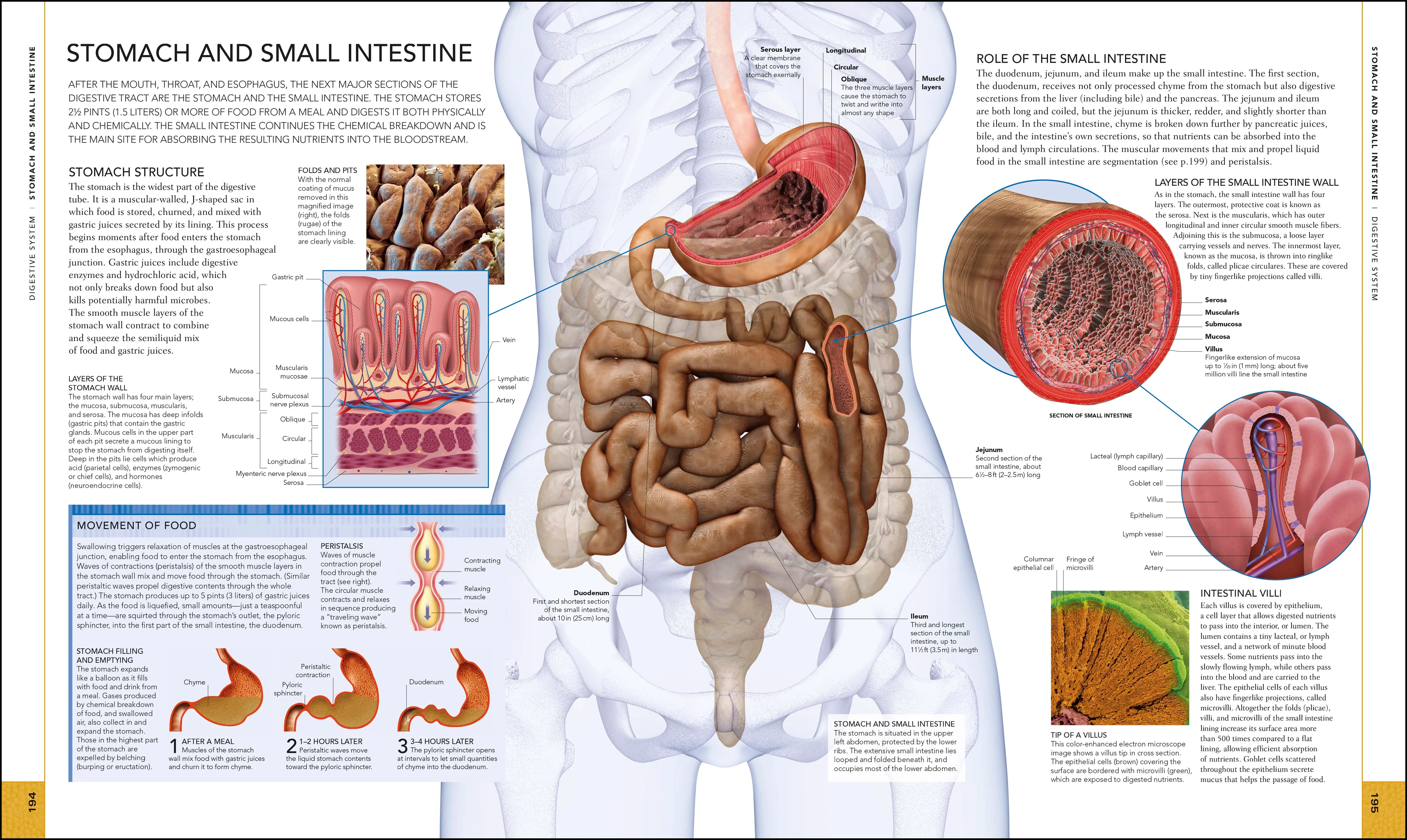 The Human Body Book - Image 6