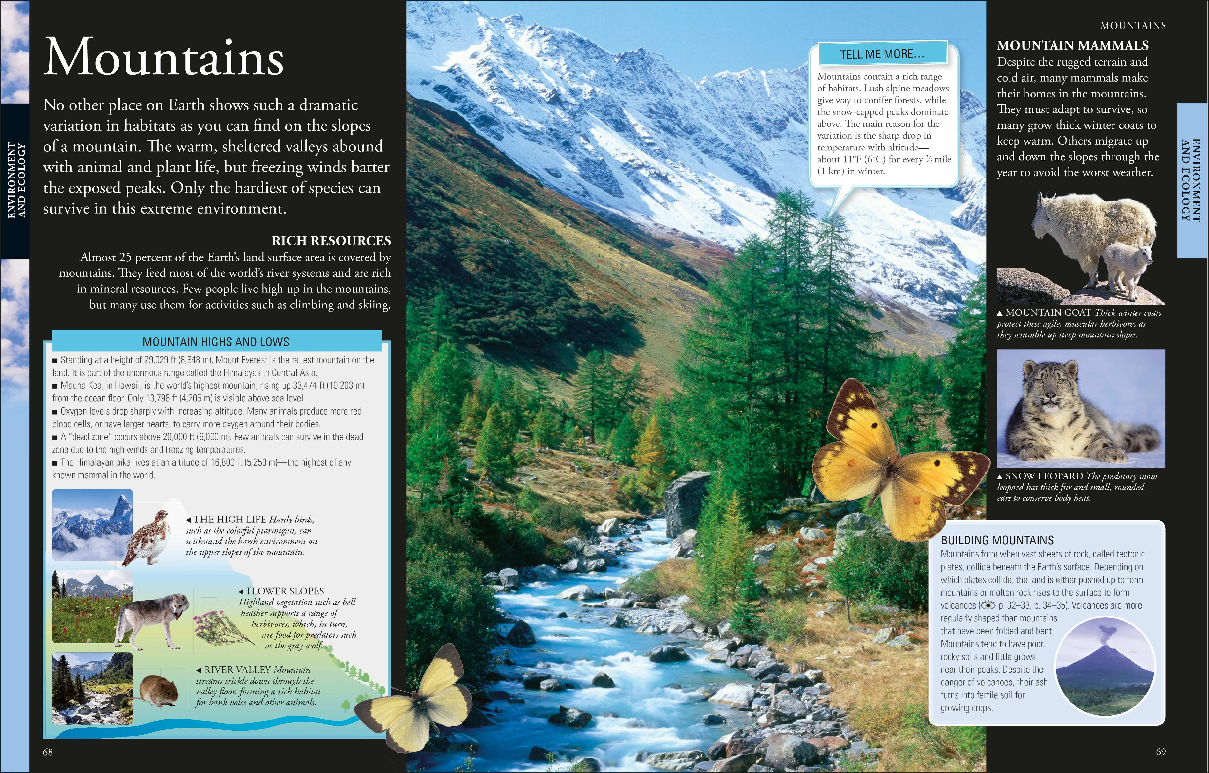 The New Children's Encyclopedia - Image 4