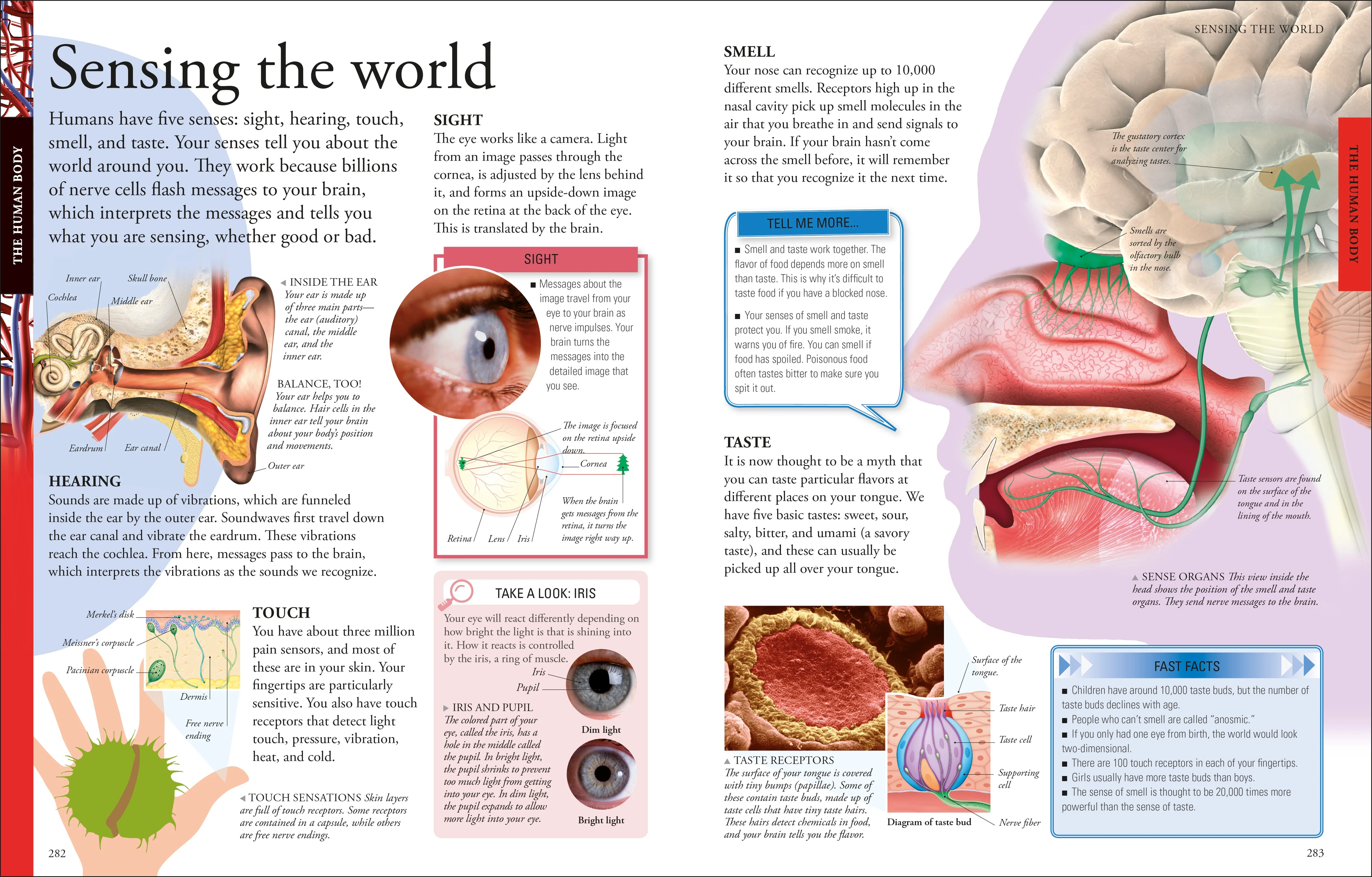 The New Children's Encyclopedia - Image 5