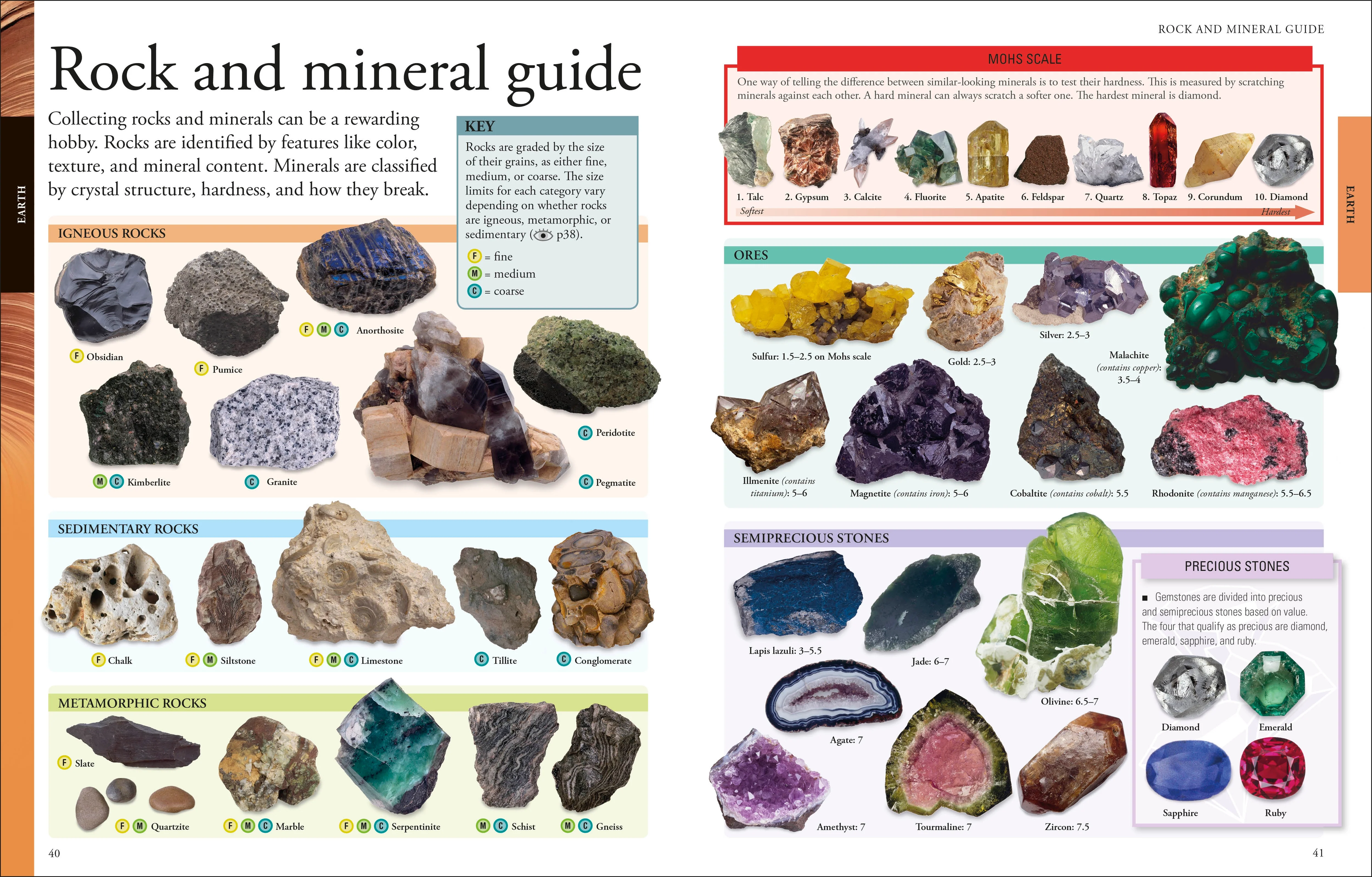 The New Children's Encyclopedia - Image 7