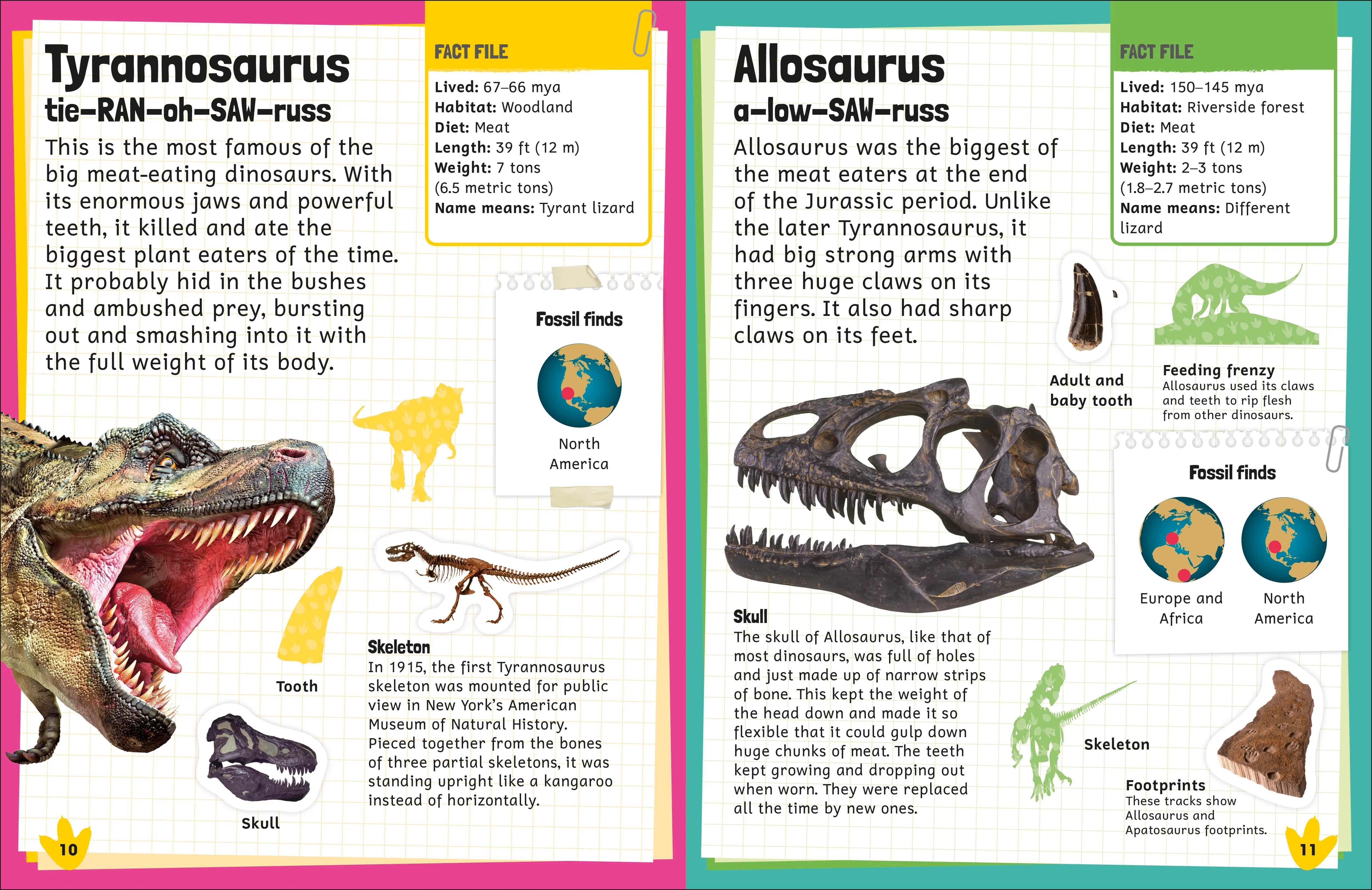 Sticker Encyclopedia Dinosaurs - Image 5
