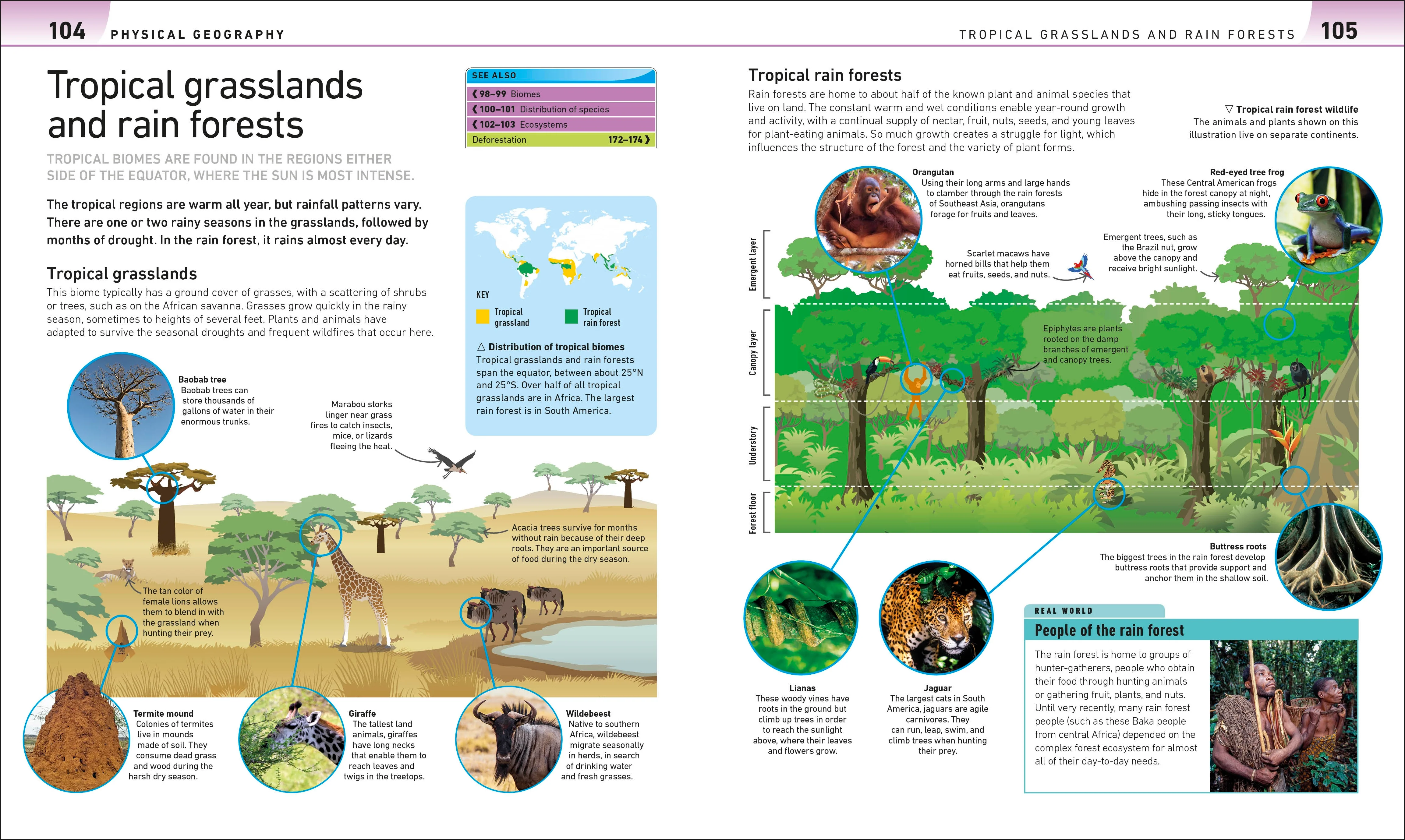 Help Your Kids with Geography, Ages 10-16 (Key Stages 3-4) - Image 5