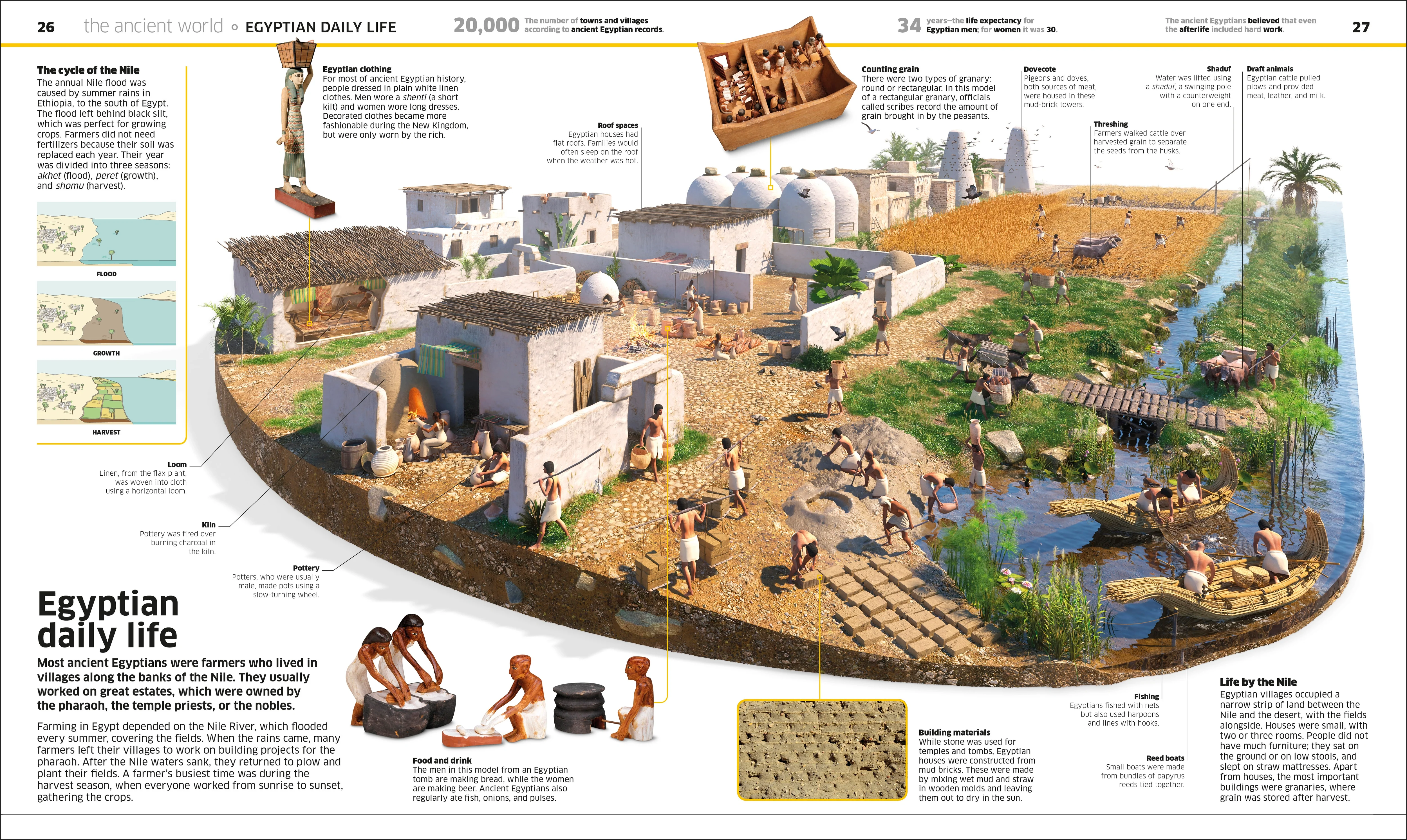 Knowledge Encyclopedia History! - Image 2