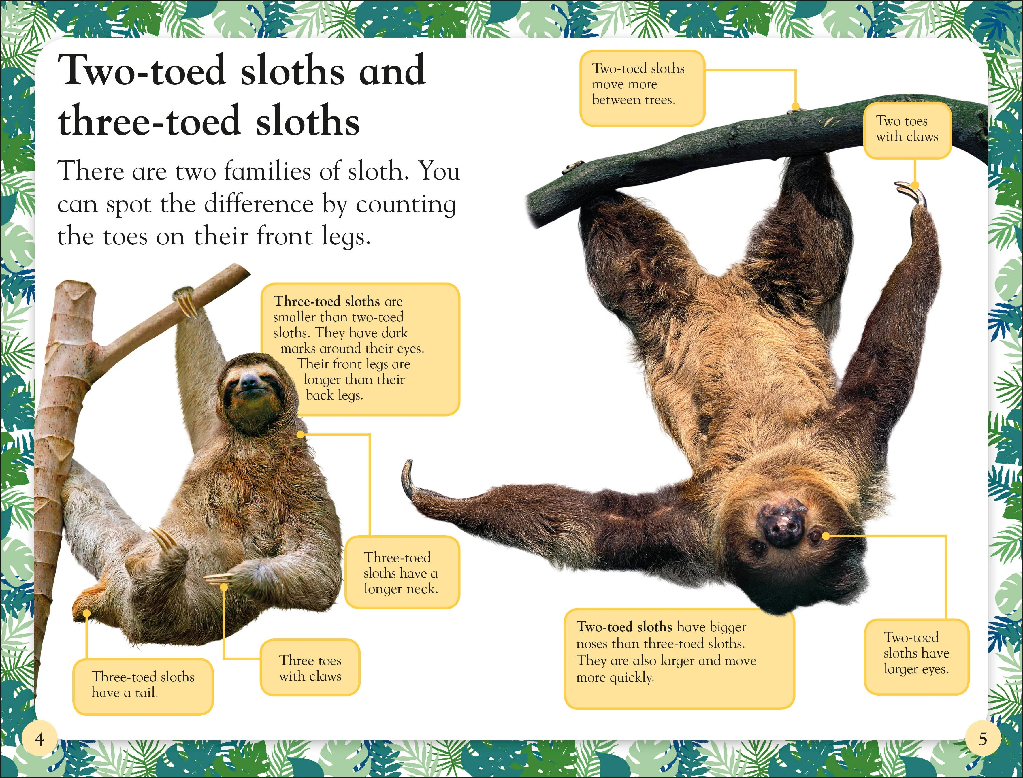 DK Readers Level 2: Sloths - Image 2
