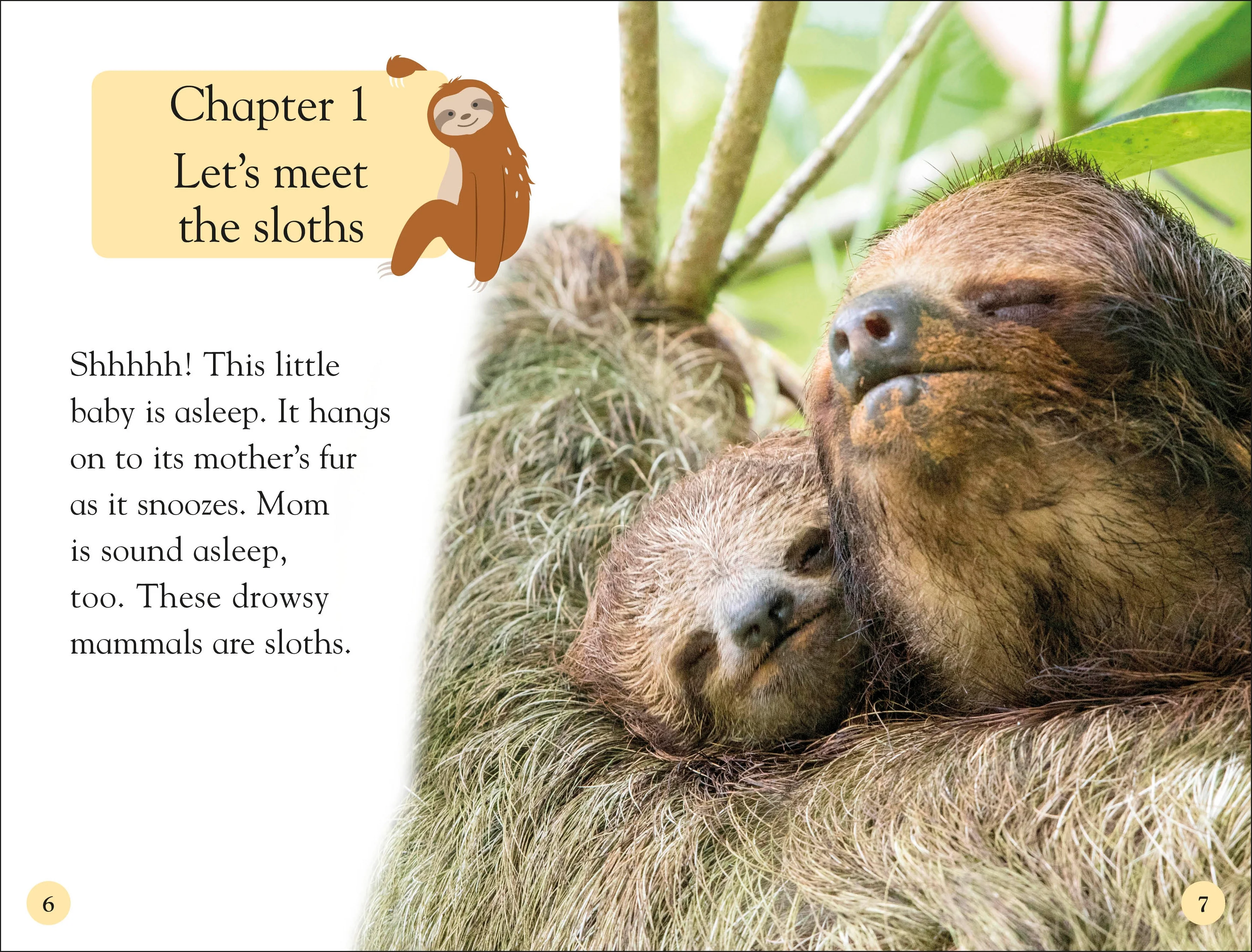 DK Readers Level 2: Sloths - Image 3