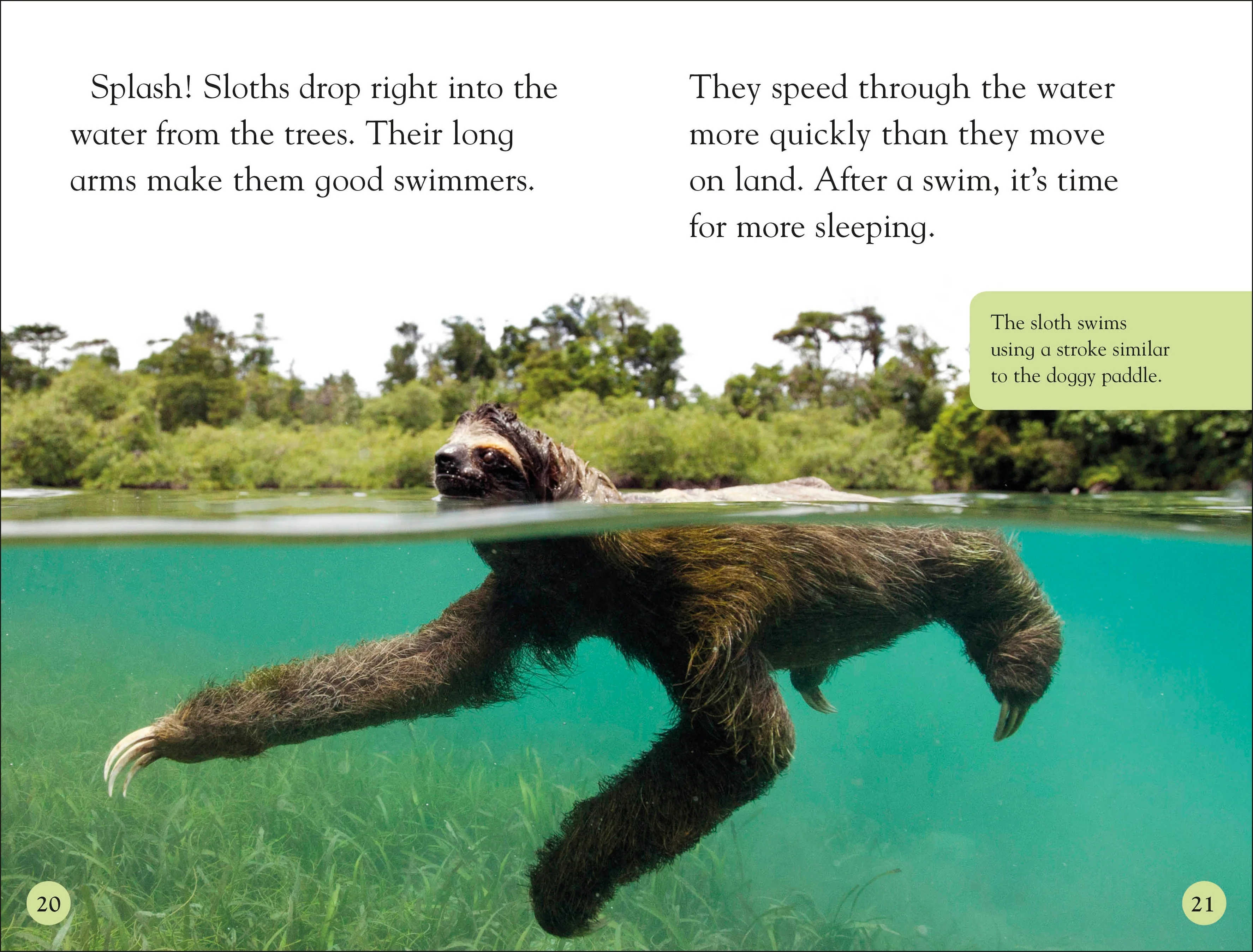 DK Readers Level 2: Sloths - Image 5