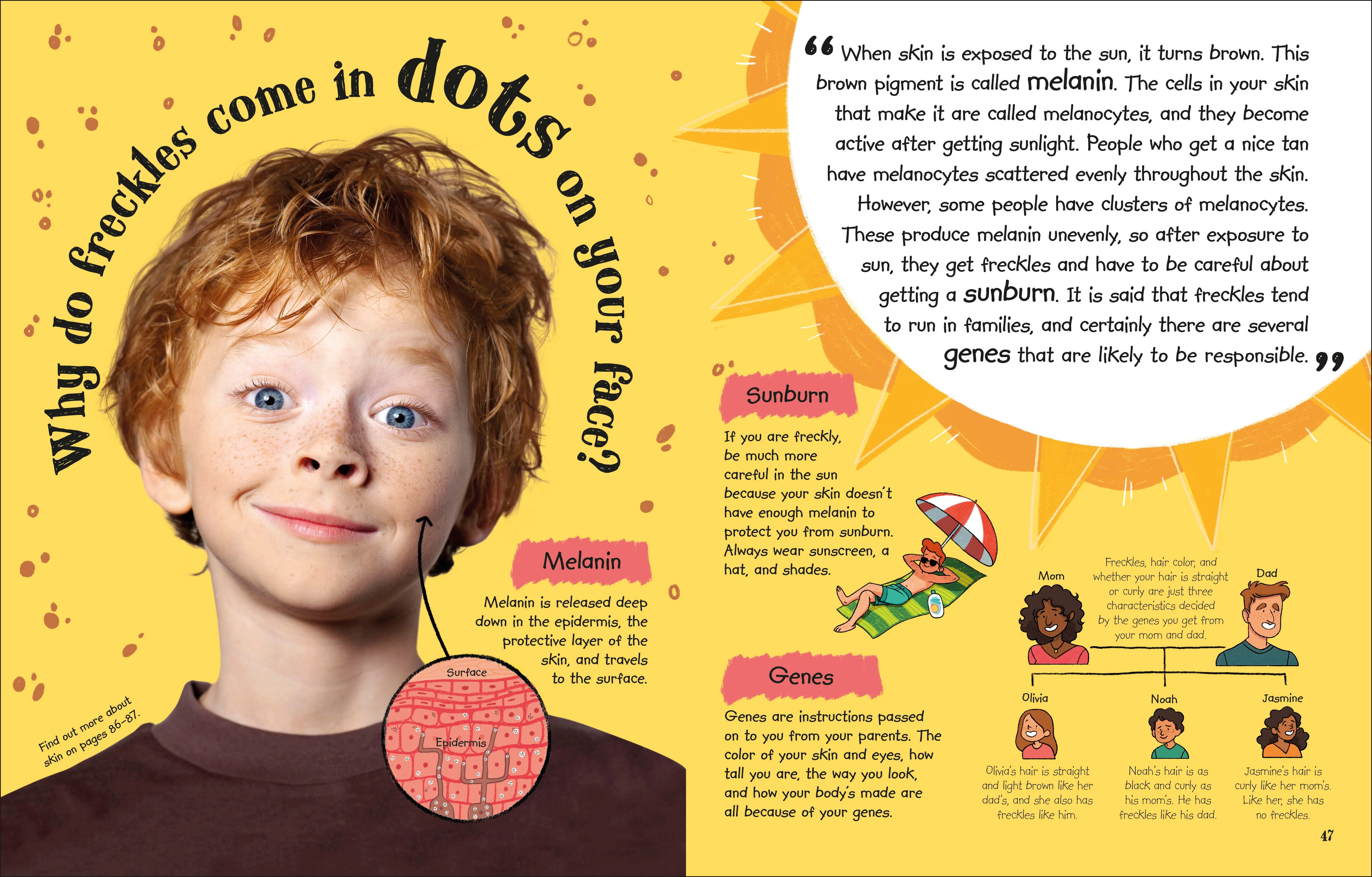 Ask A Scientist - Image 2