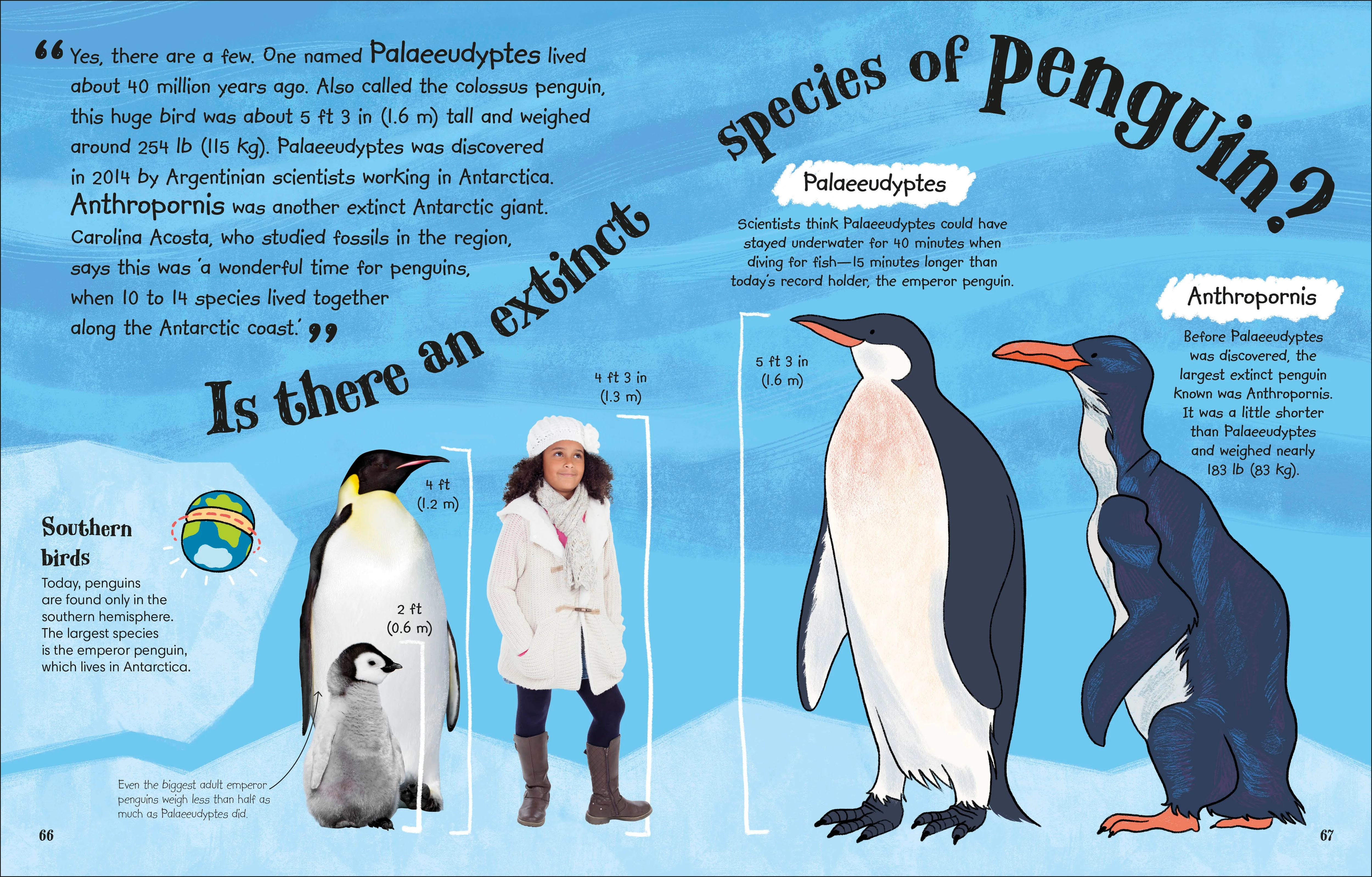 Ask A Scientist - Image 3