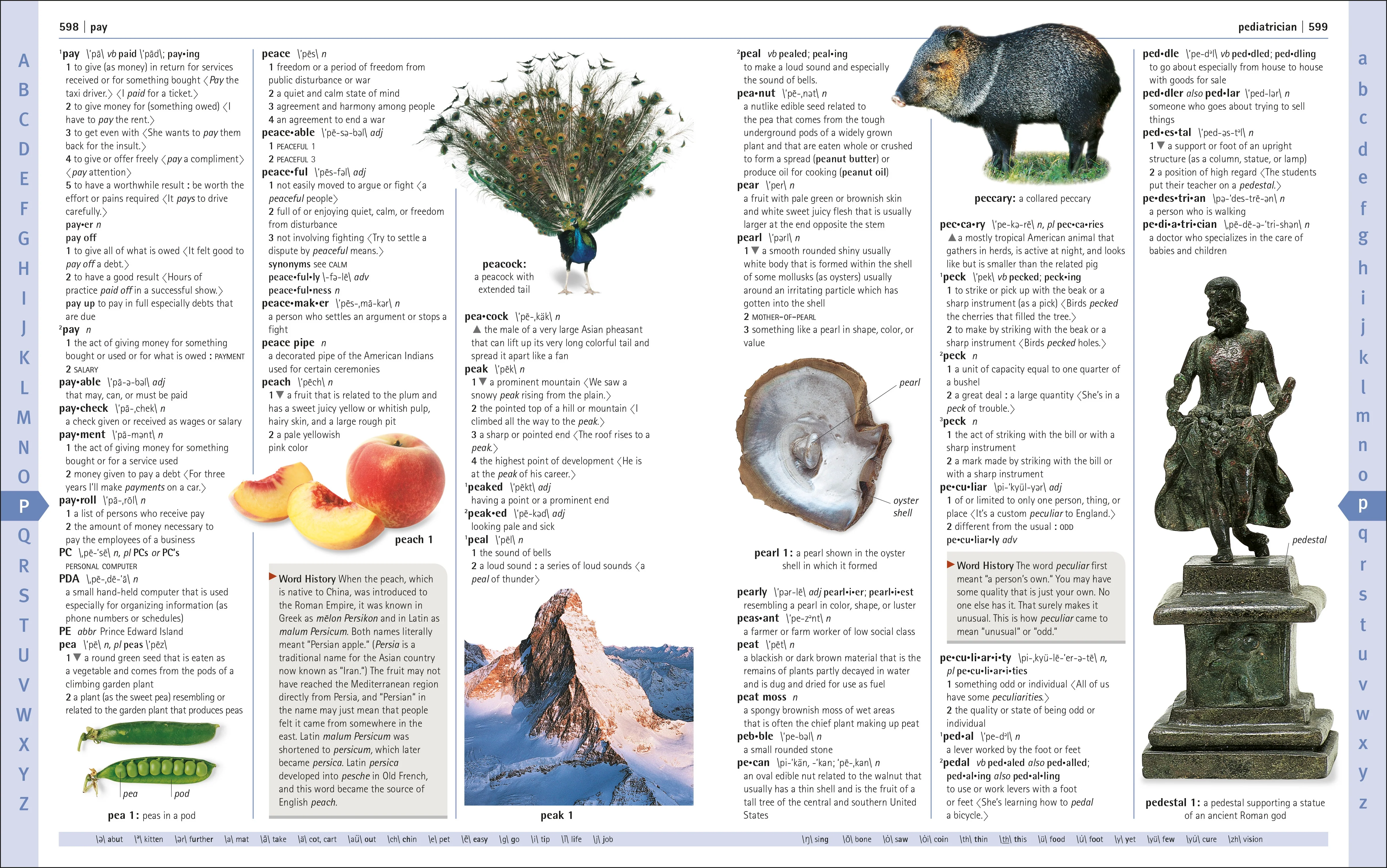 Merriam-Webster Children's Dictionary - Image 5