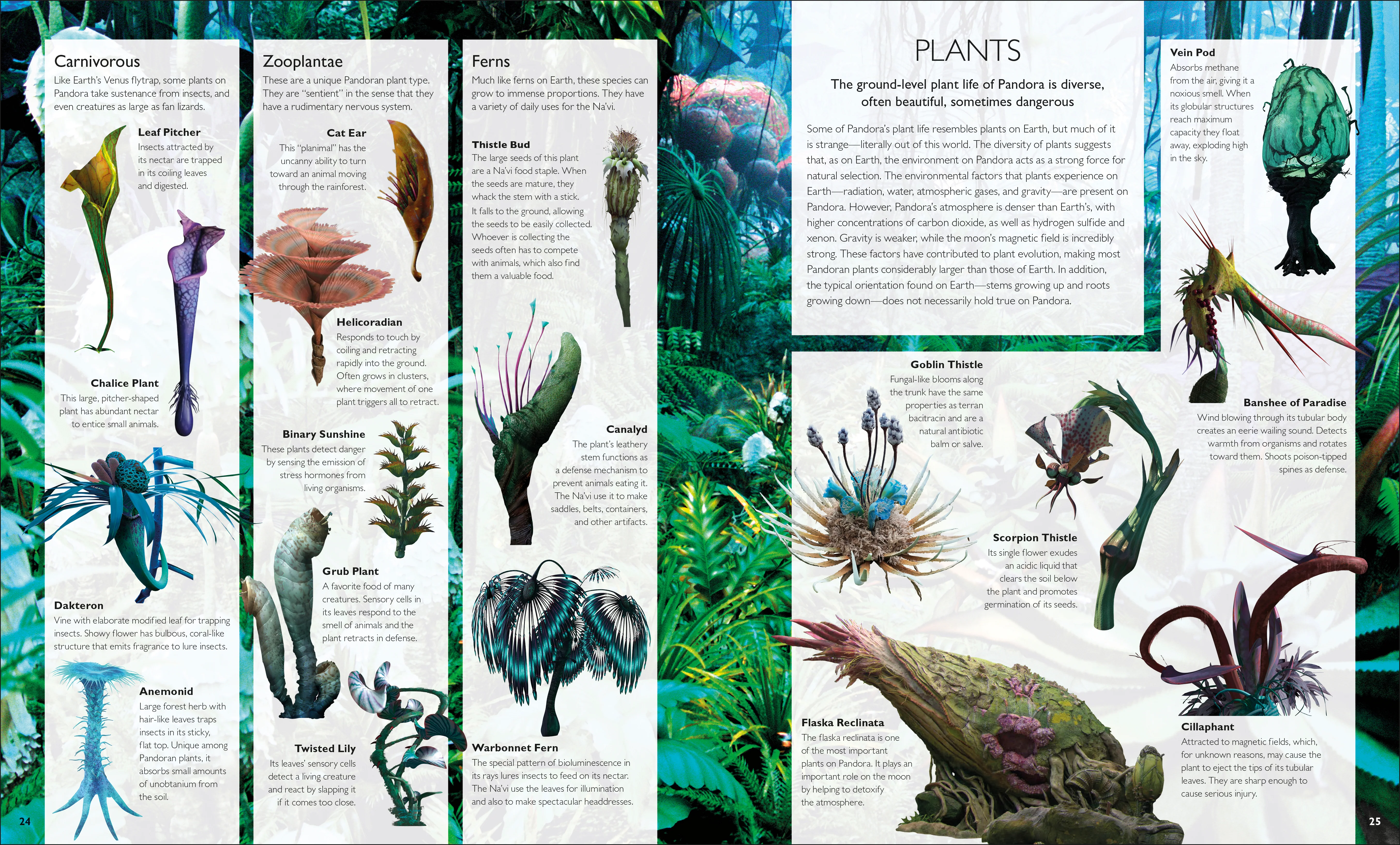 The World of Avatar - Image 3