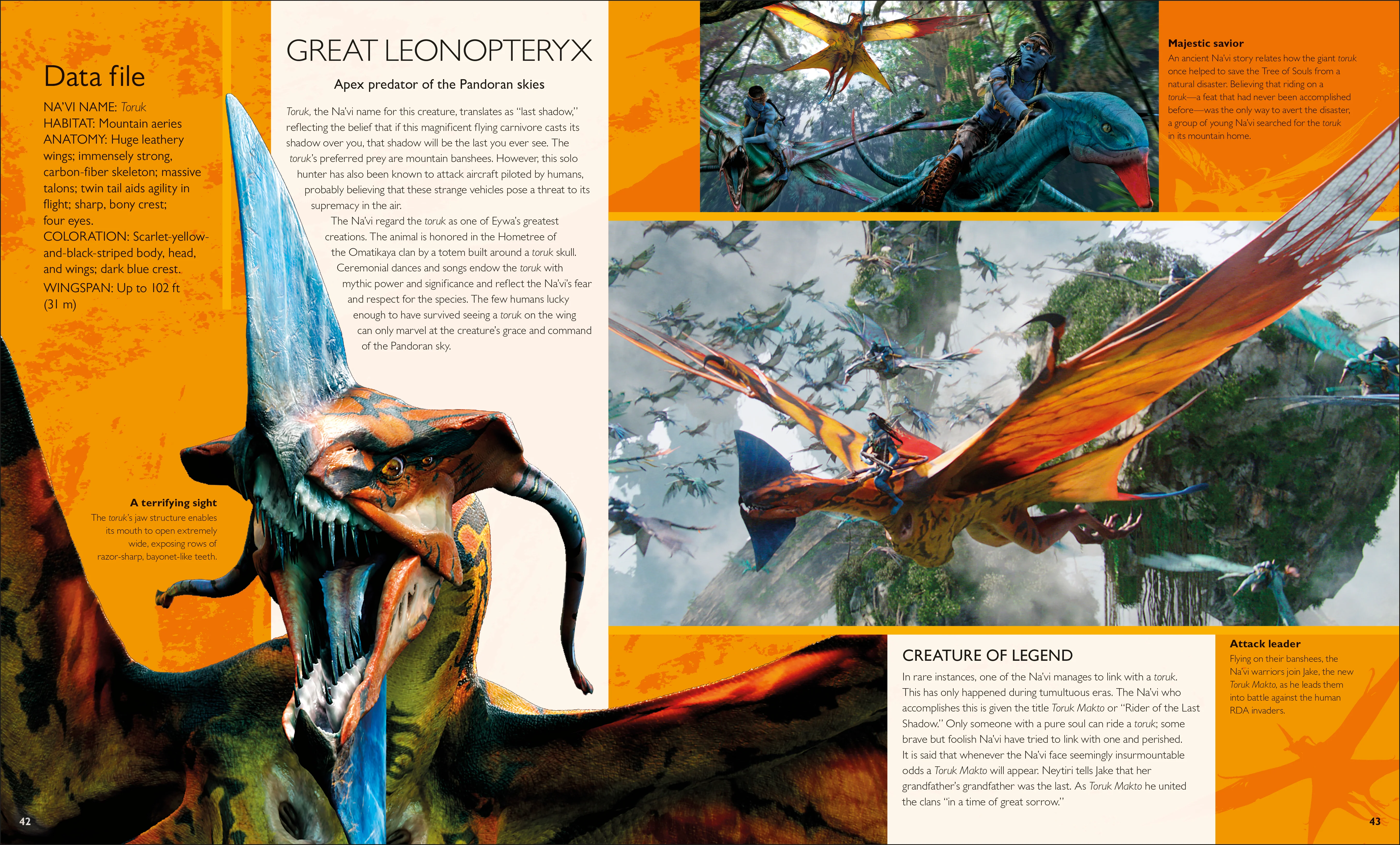 The World of Avatar - Image 4