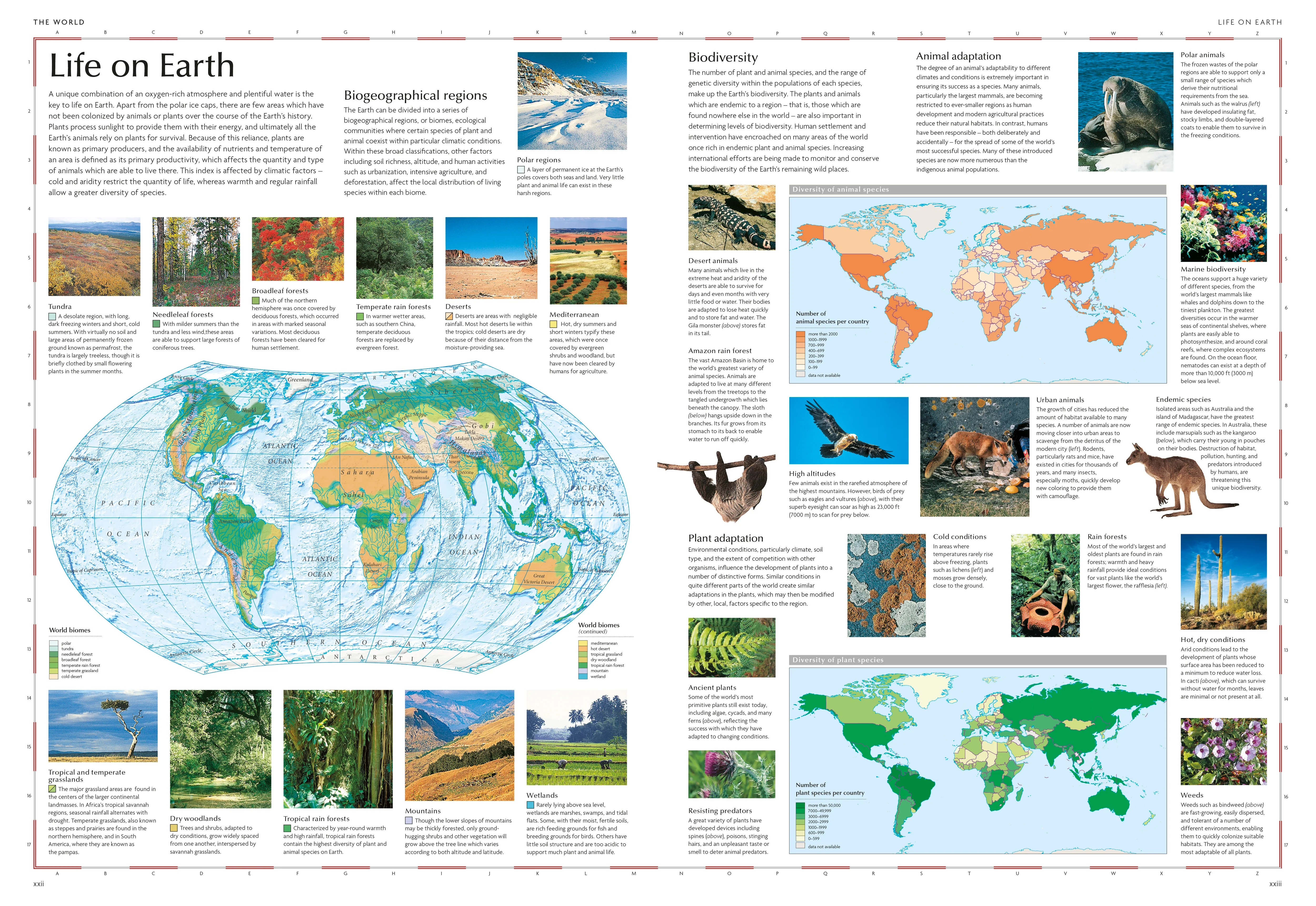 Reference World Atlas - Image 2
