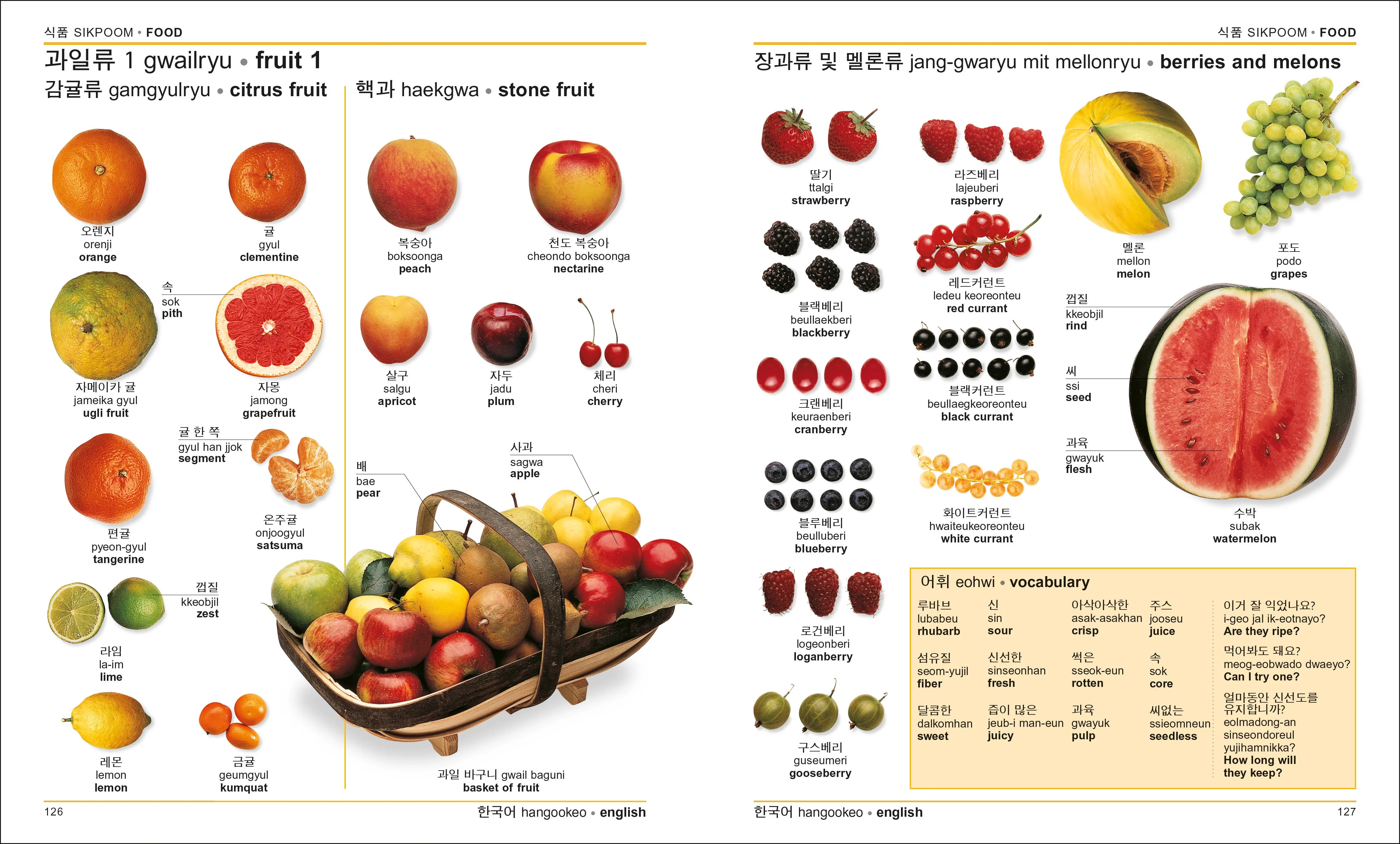 Korean-English Bilingual Visual Dictionary - Image 4