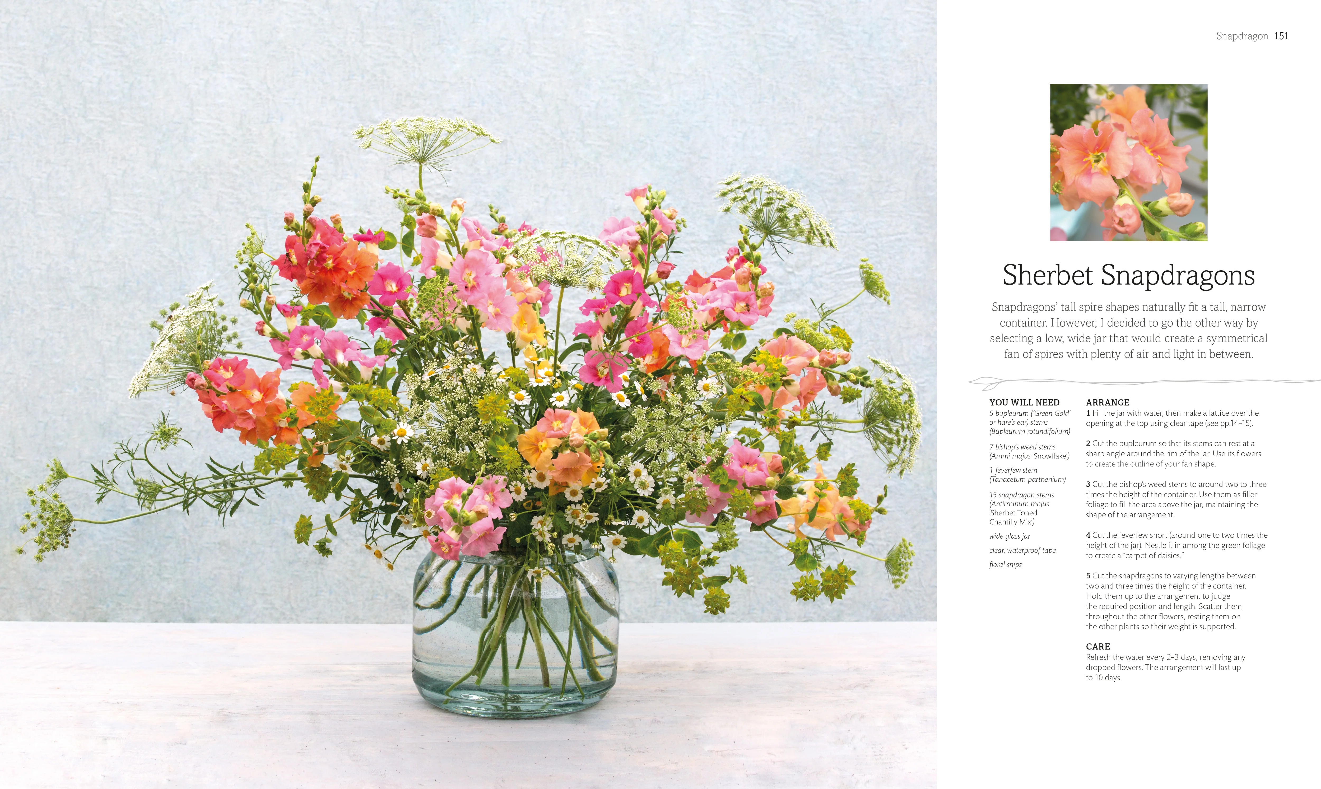 The Flower Book - Image 4