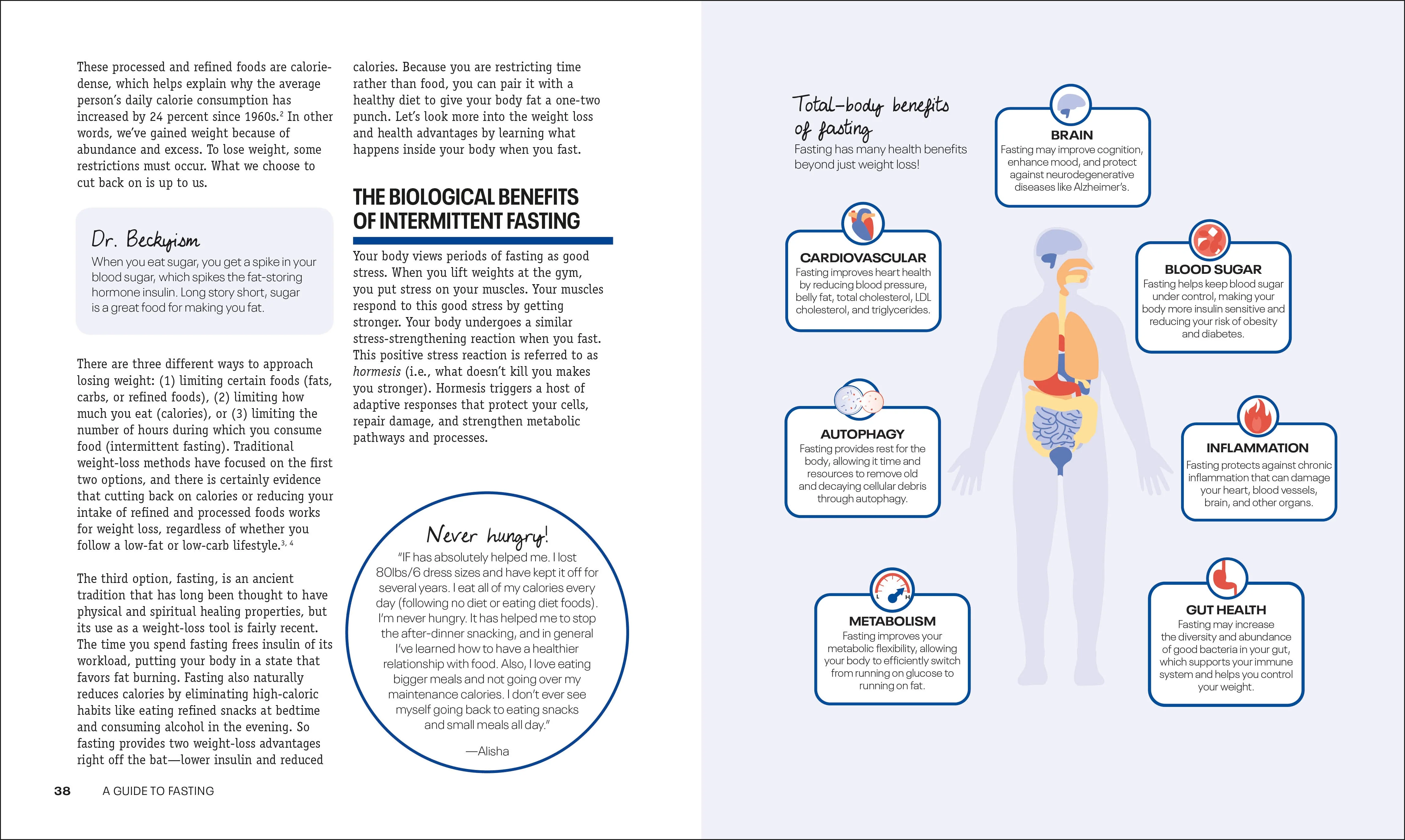 Intermittent Fasting Diet Guide and Cookbook - Image 2